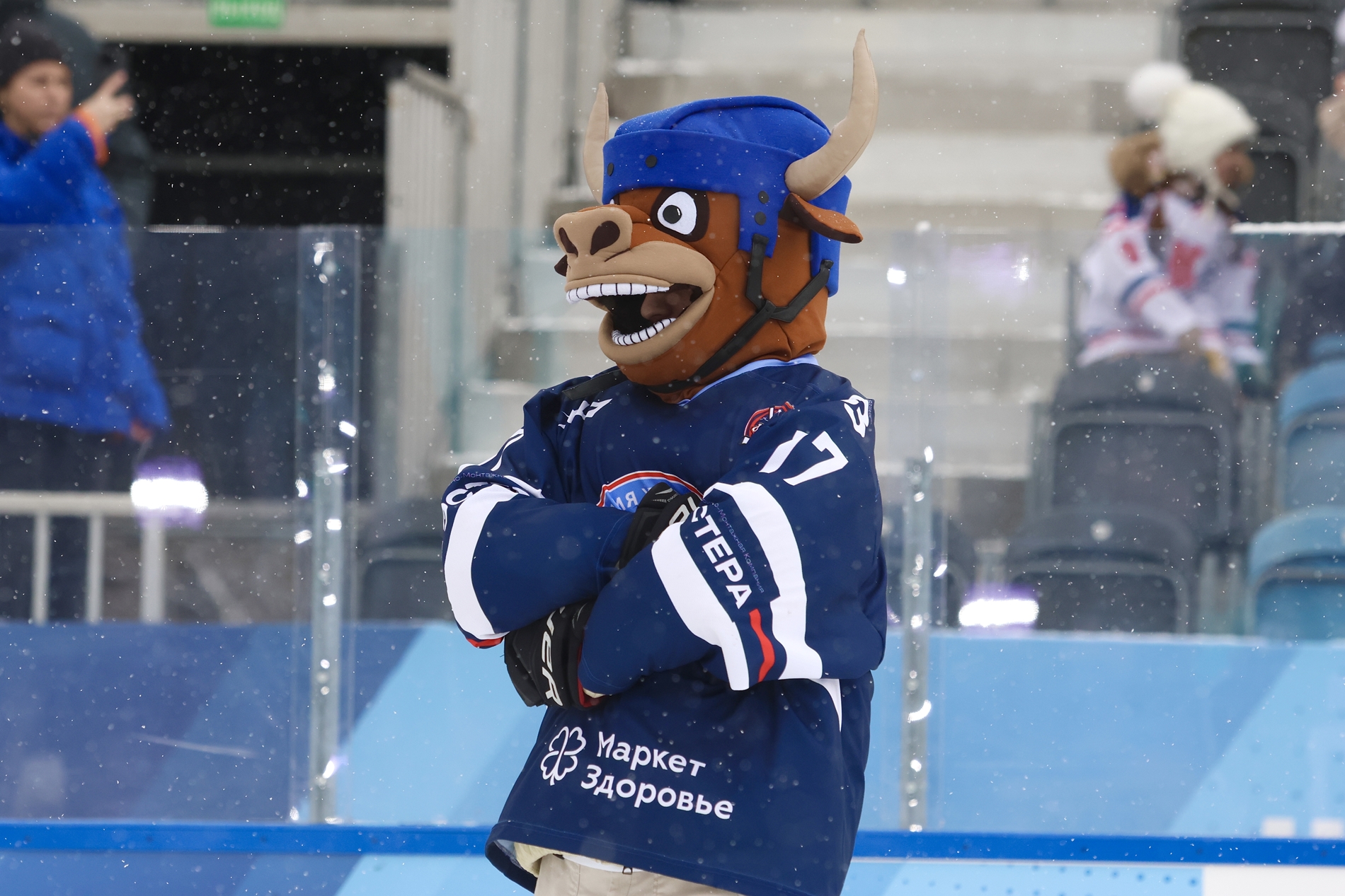 Фото: Академия Харламова-2015 – Крылья Советов – 7:13. Зимняя классика ФХМ