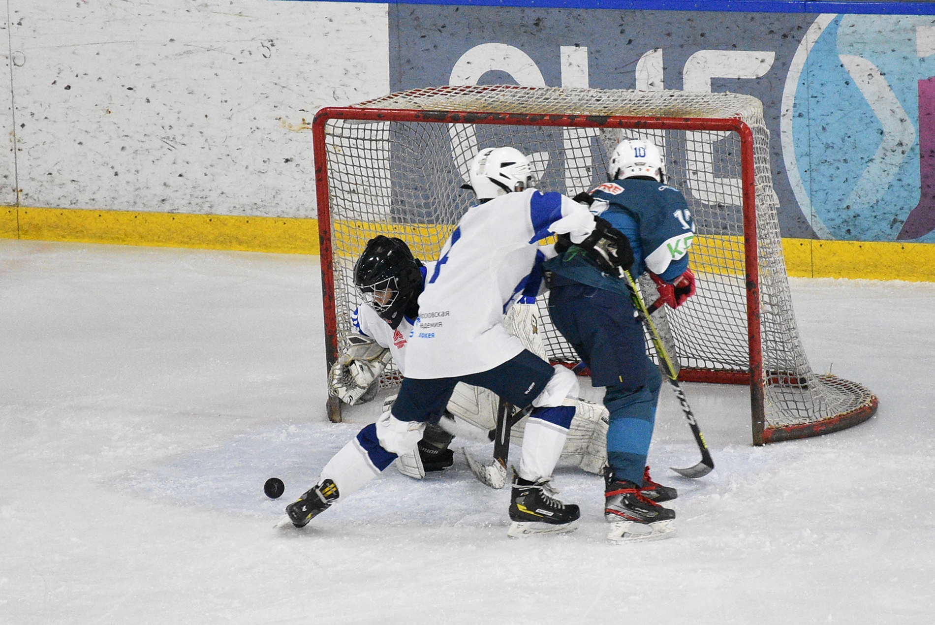 Фото: Динамо-Запад-2011 – Вымпел – 8:1