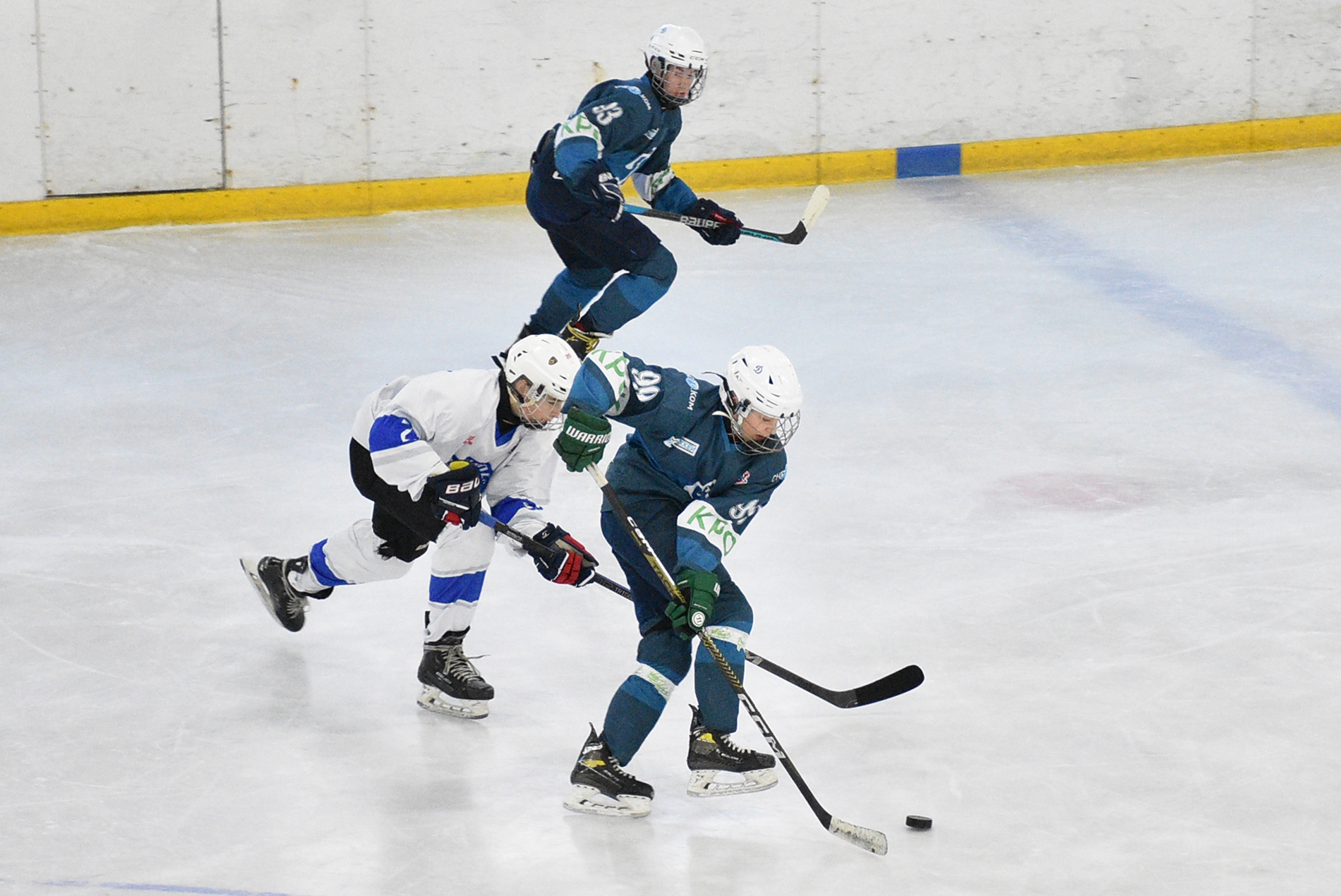 Фото: Динамо-Запад-2011 – Вымпел – 8:1