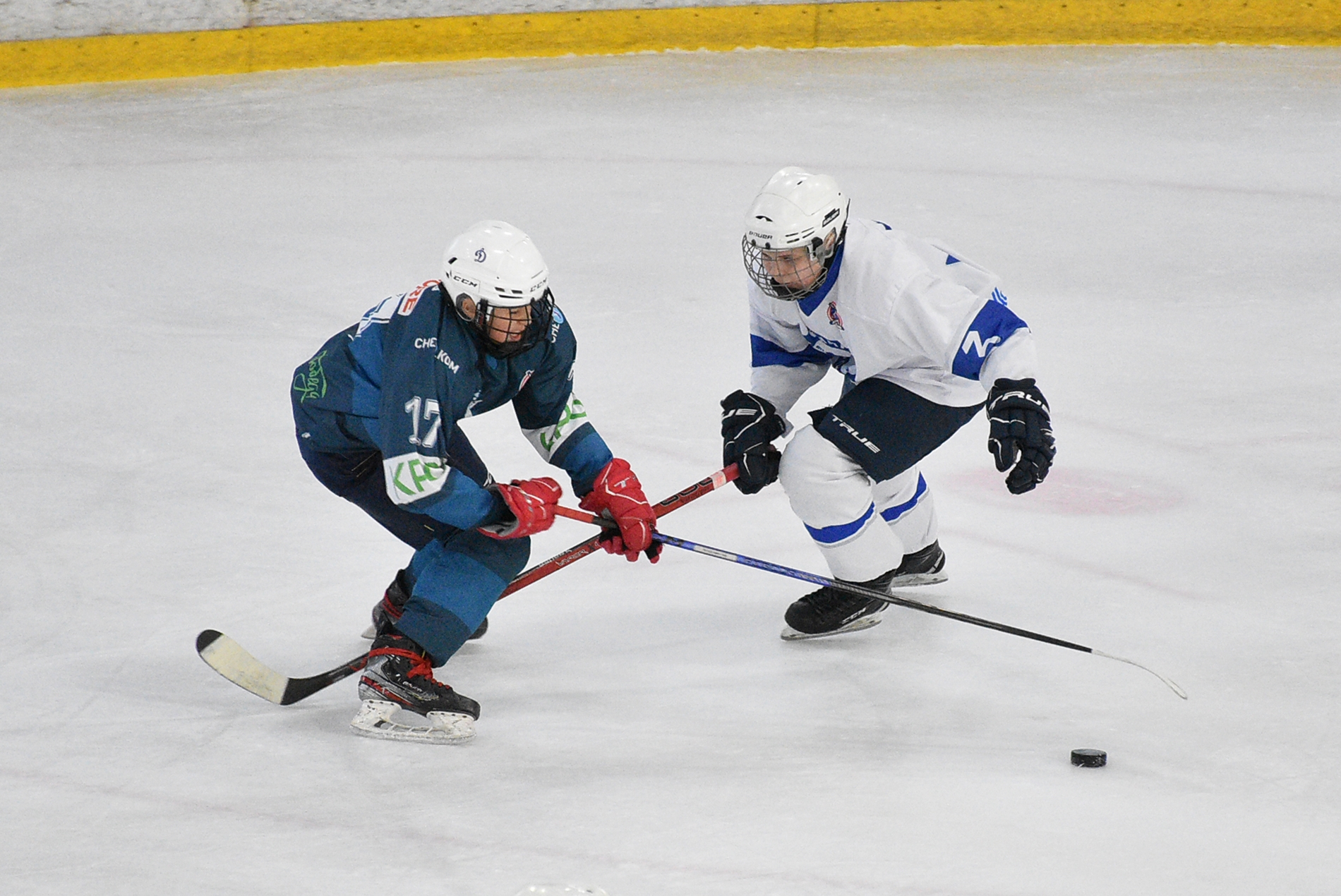 Фото: Динамо-Запад-2011 – Вымпел – 8:1