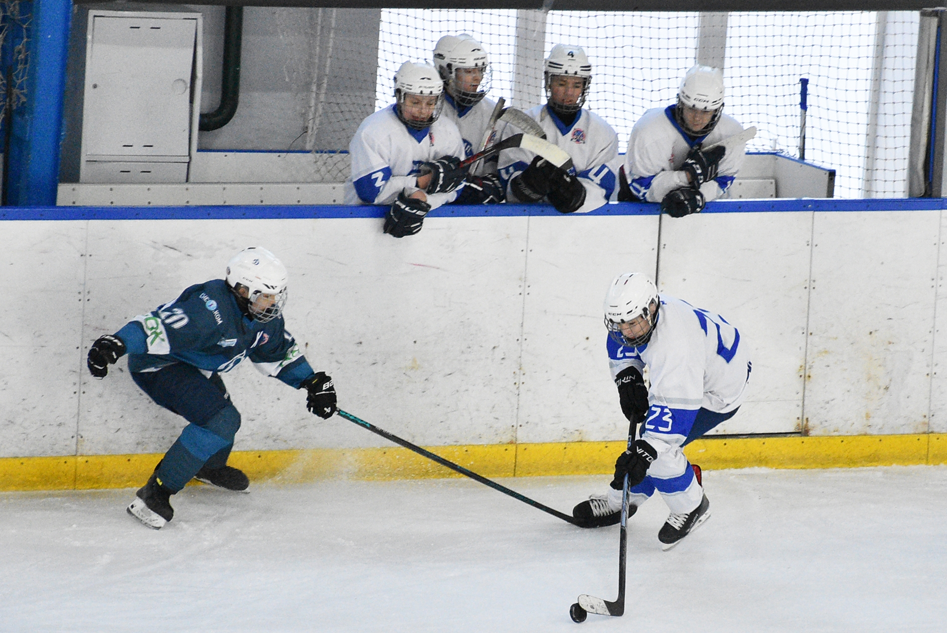 Фото: Динамо-Запад-2011 – Вымпел – 8:1