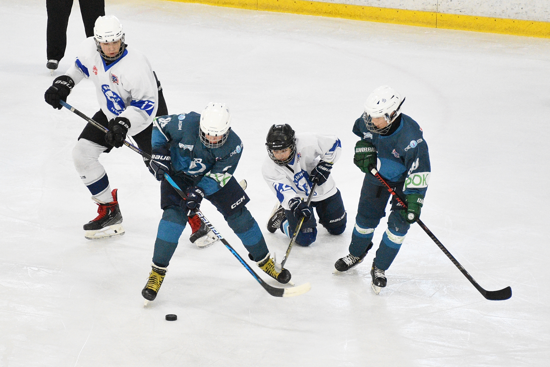 Фото: Динамо-Запад-2011 – Вымпел – 8:1