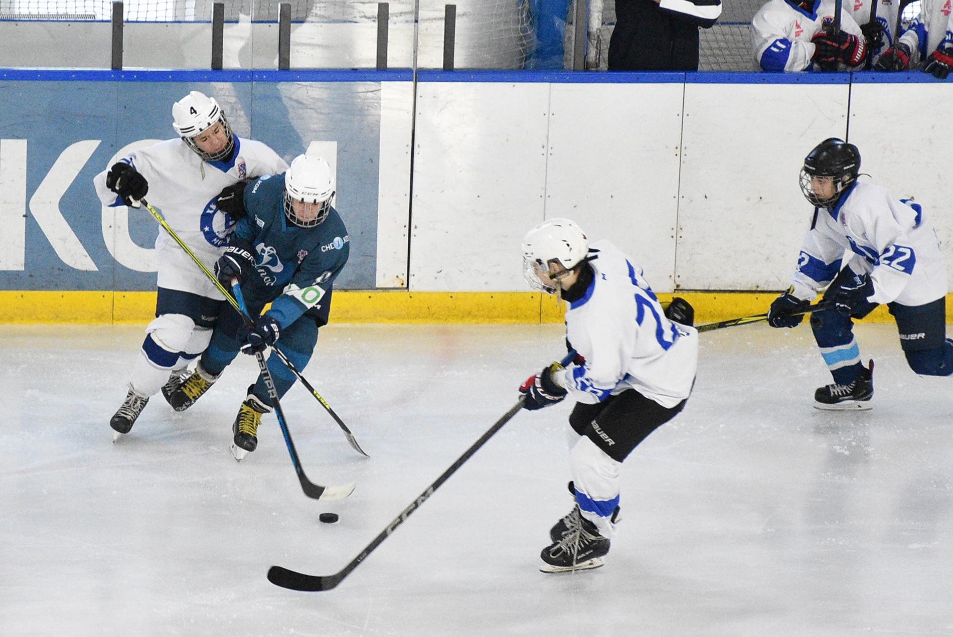 Фото: Динамо-Запад-2011 – Вымпел – 8:1