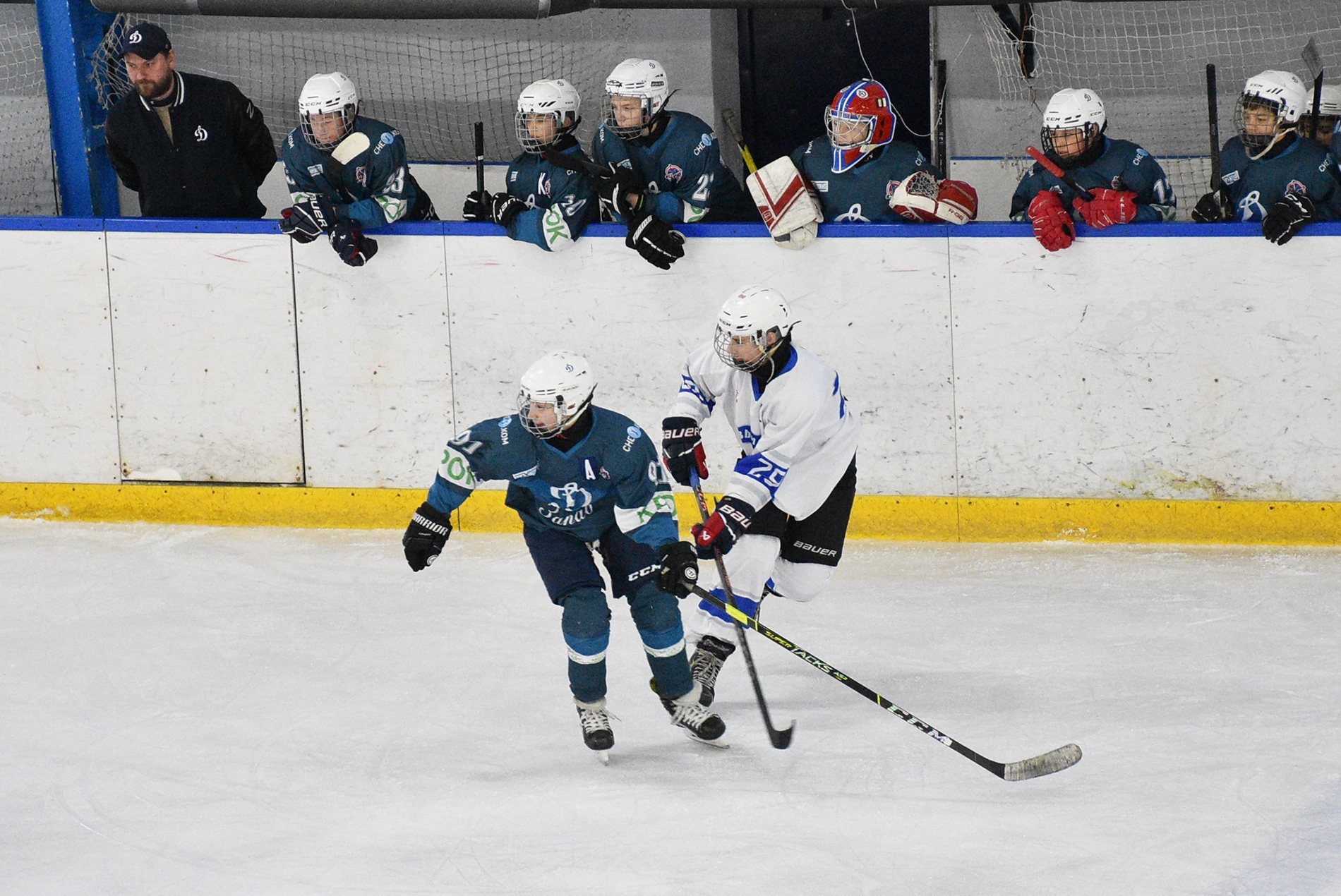 Фото: Динамо-Запад-2011 – Вымпел – 8:1