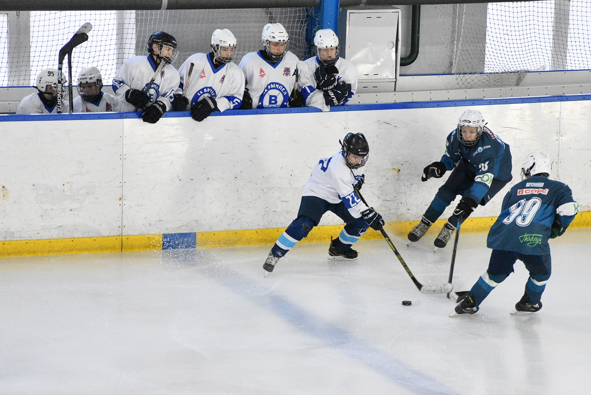 Фото: Динамо-Запад-2011 – Вымпел – 8:1