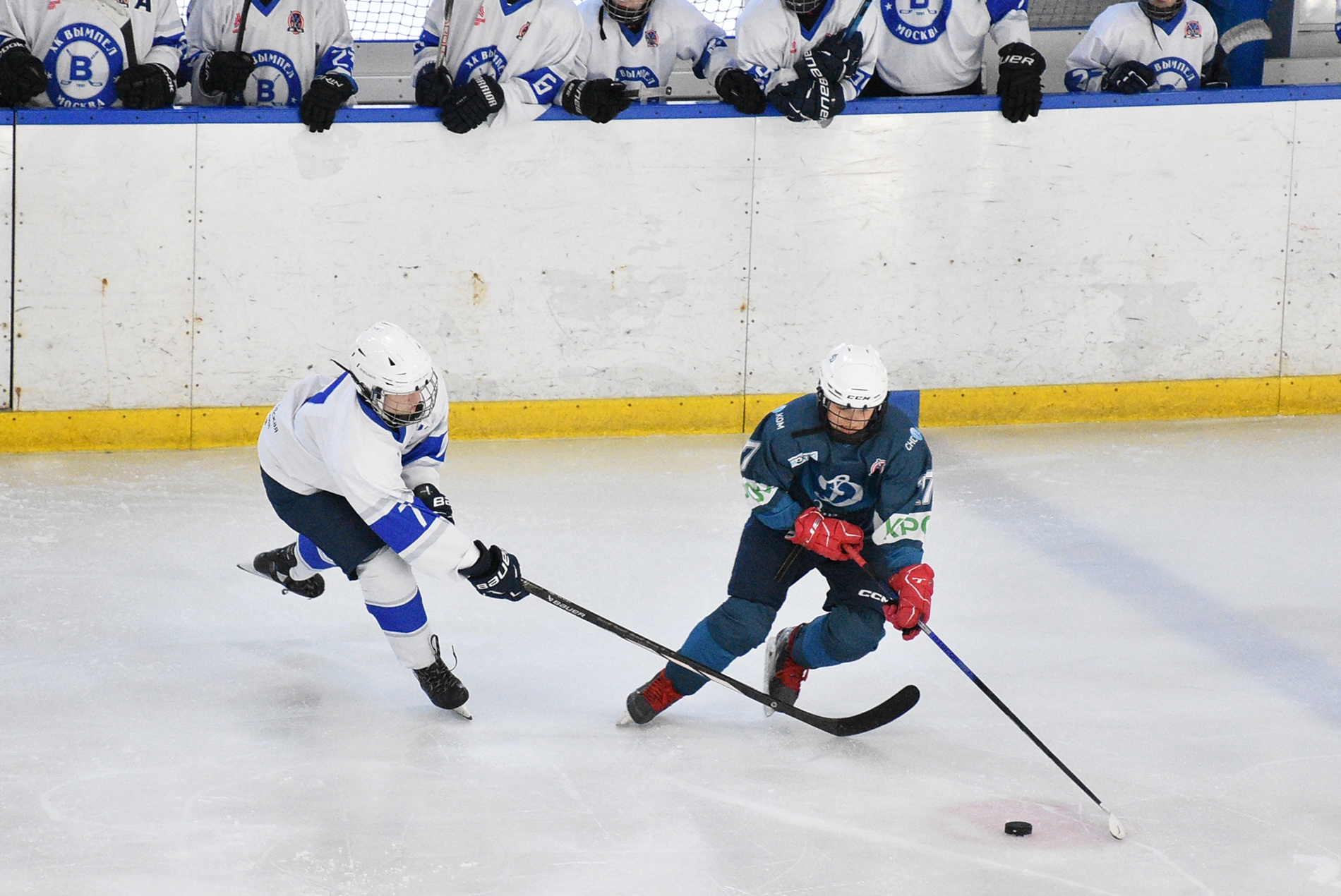 Фото: Динамо-Запад-2011 – Вымпел – 8:1