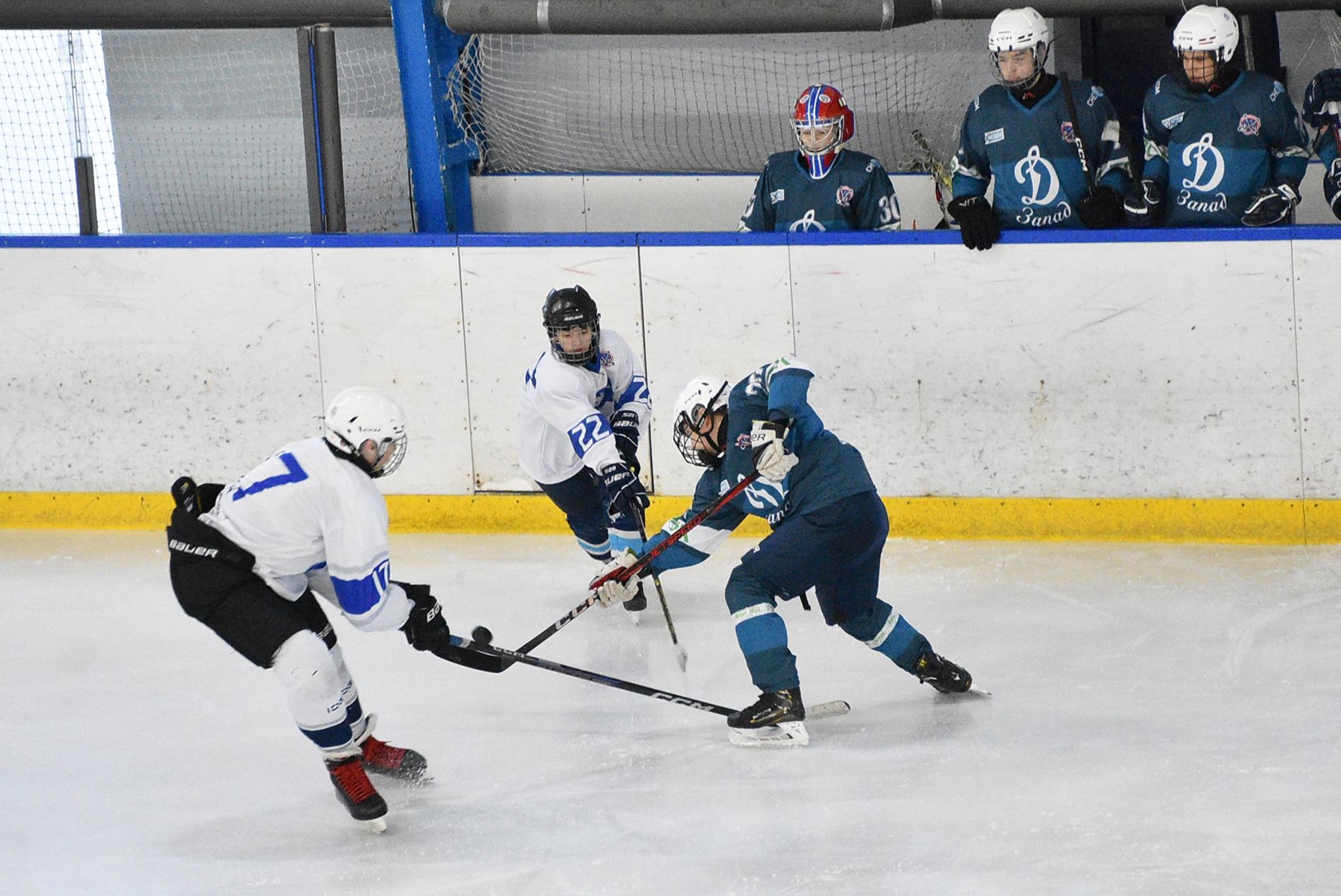 Фото: Динамо-Запад-2011 – Вымпел – 8:1