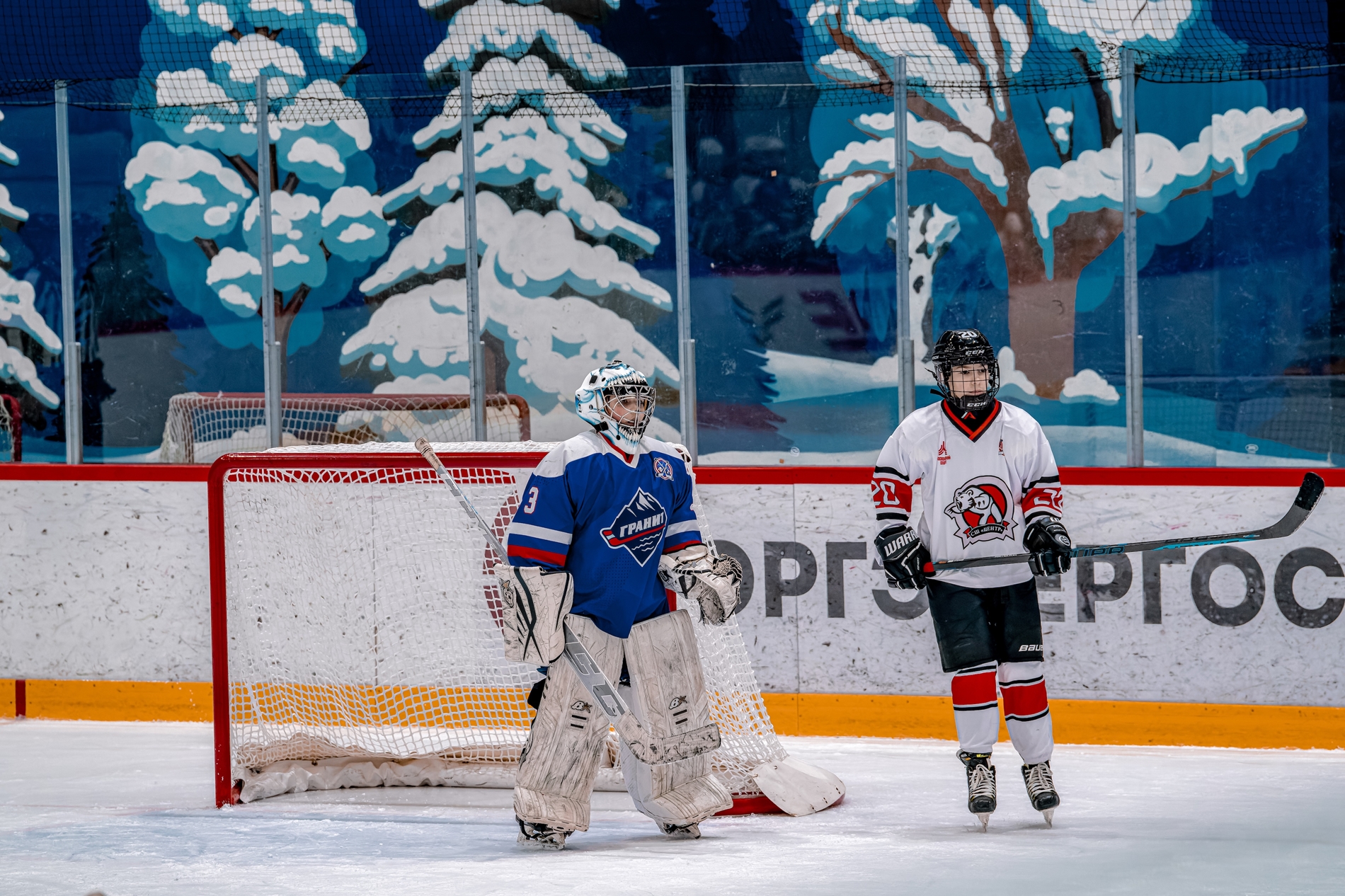 Фото: Гранит-2012 – Центр – 4:1