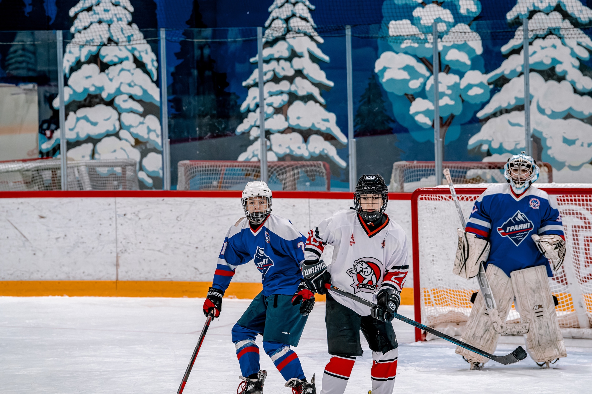 Фото: Гранит-2012 – Центр – 4:1