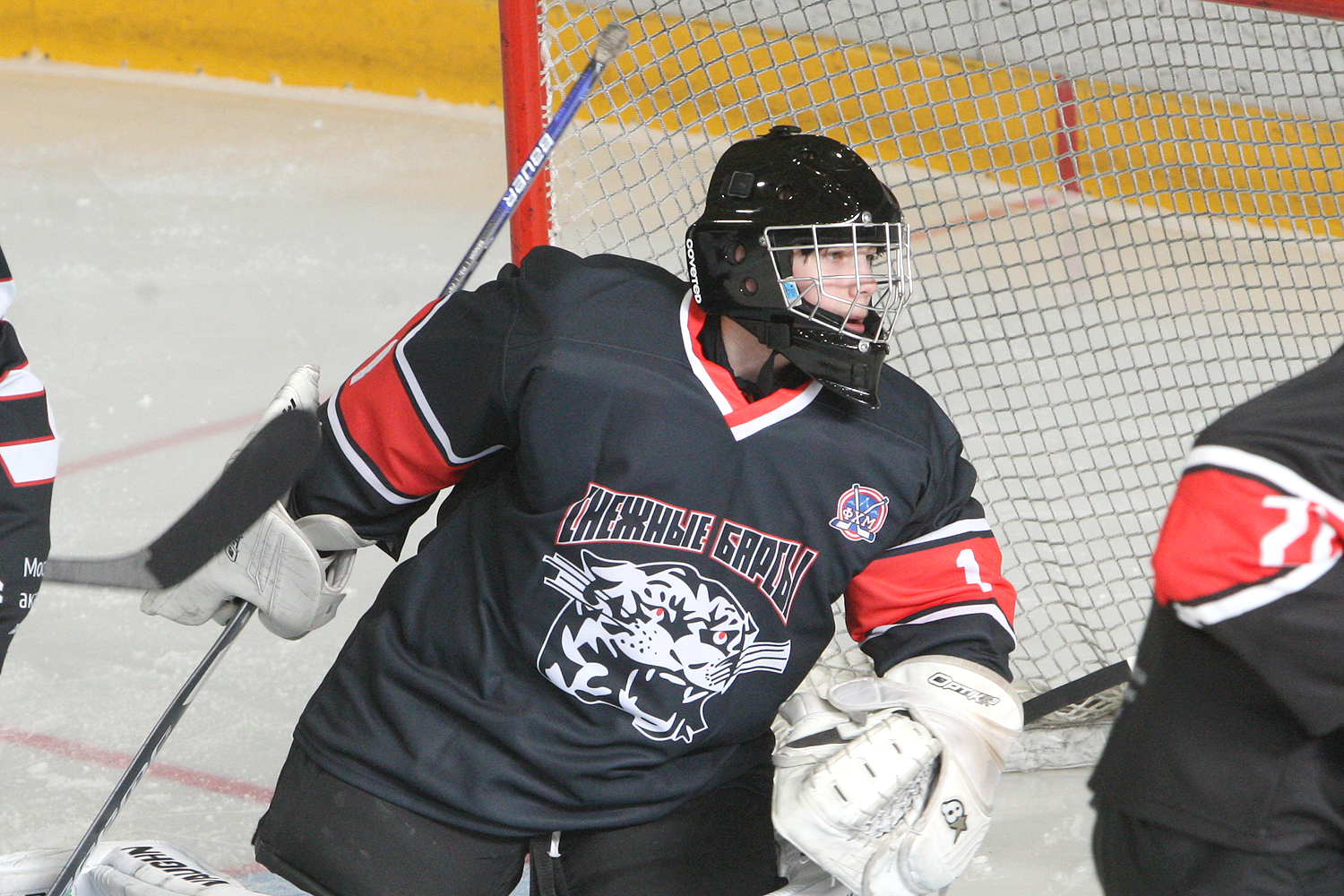 Фото: Снежные барсы-2011 – МАХ – 3:15 