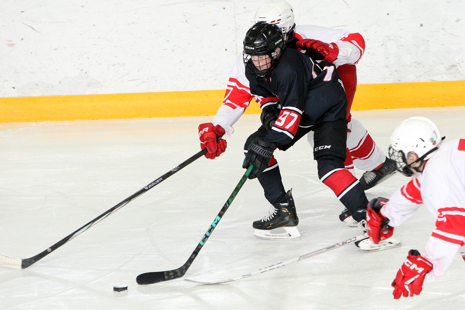 Фото: Снежные барсы-2011 – МАХ – 3:15 