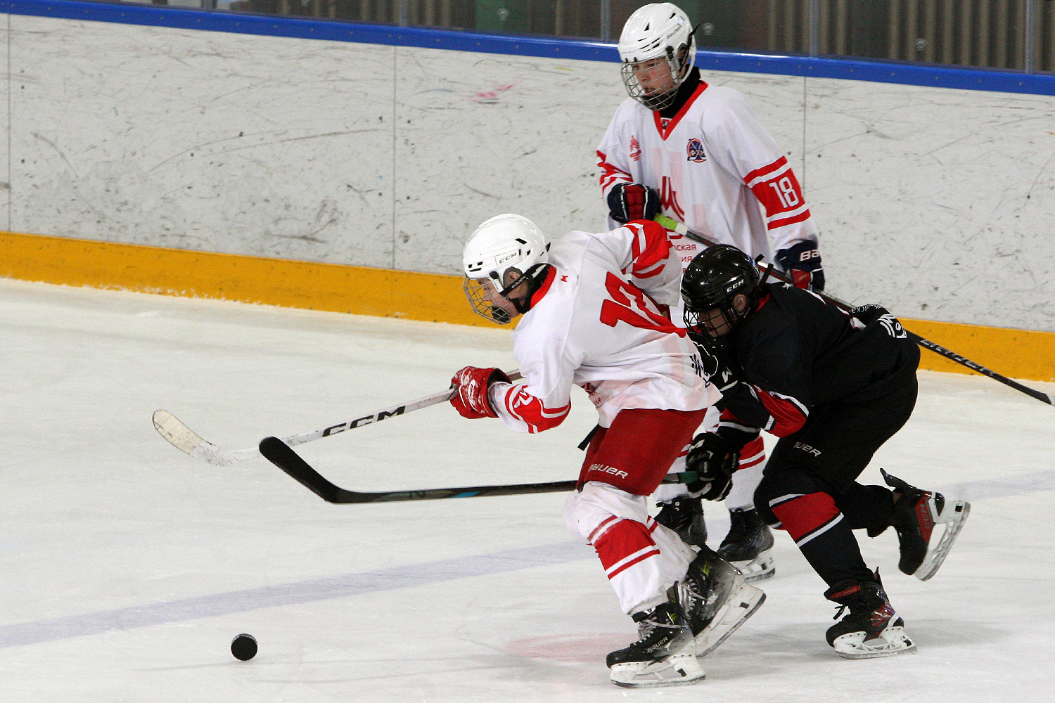 Фото: Снежные барсы-2011 – МАХ – 3:15 