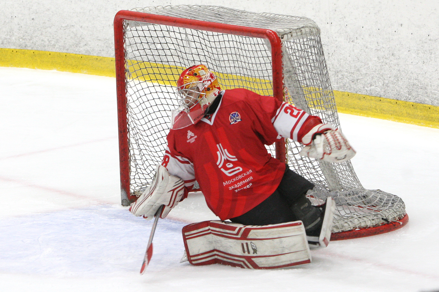 Фото: МАХ-2012 – Локомотив – 1:2 ПБ