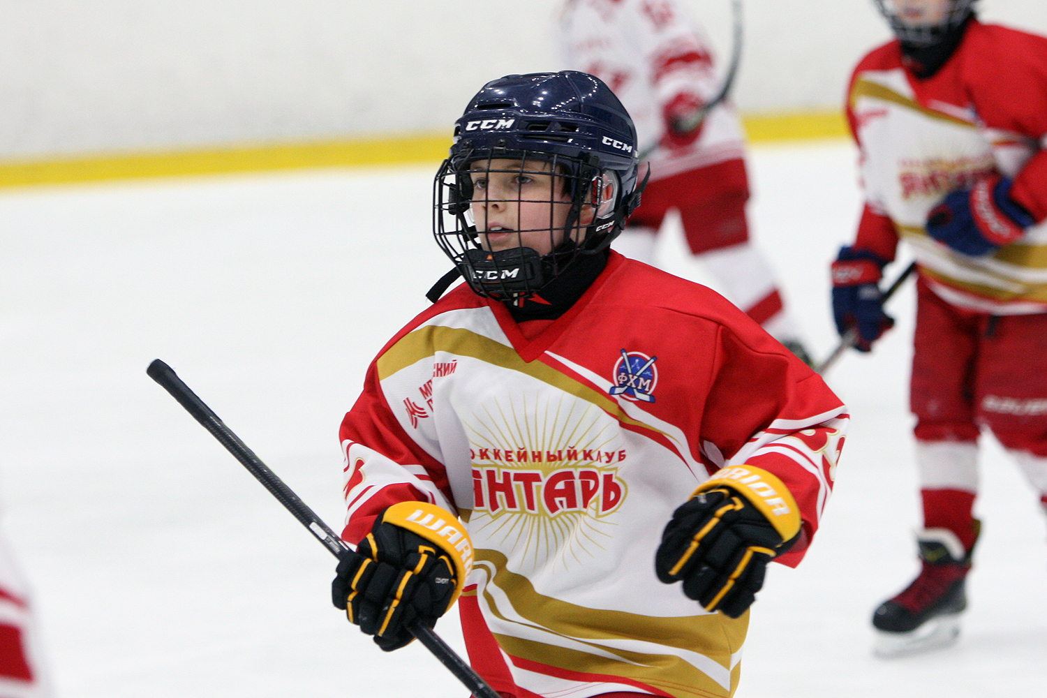 Фото: Янтарь-2014 – Спартак-Спорттех – 7:3 