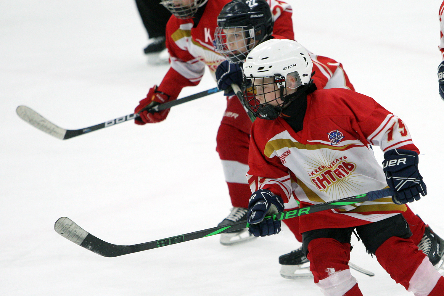 Фото: Янтарь-2014 – Спартак-Спорттех – 7:3 