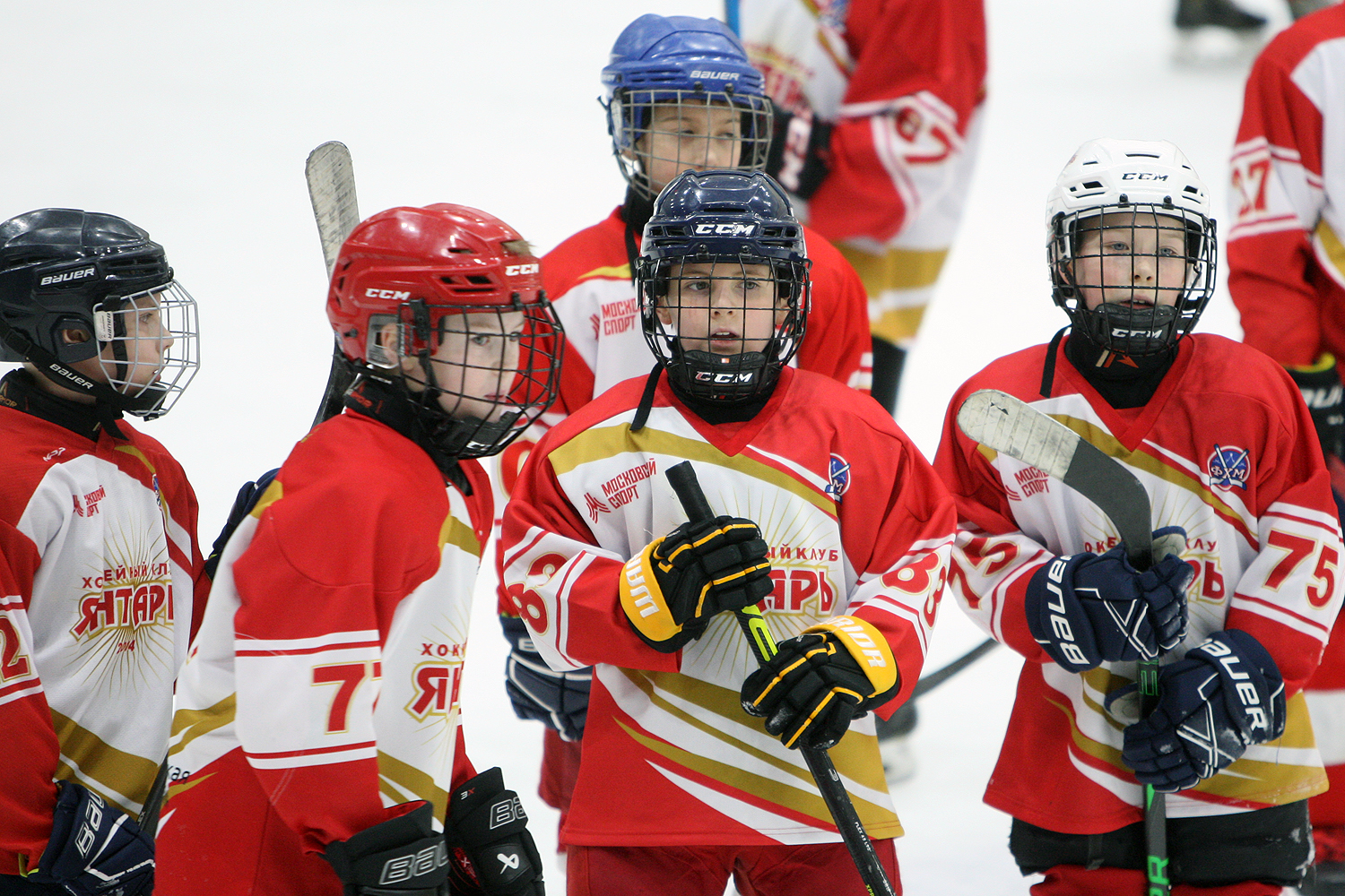 Фото: Янтарь-2014 – Спартак-Спорттех – 7:3 