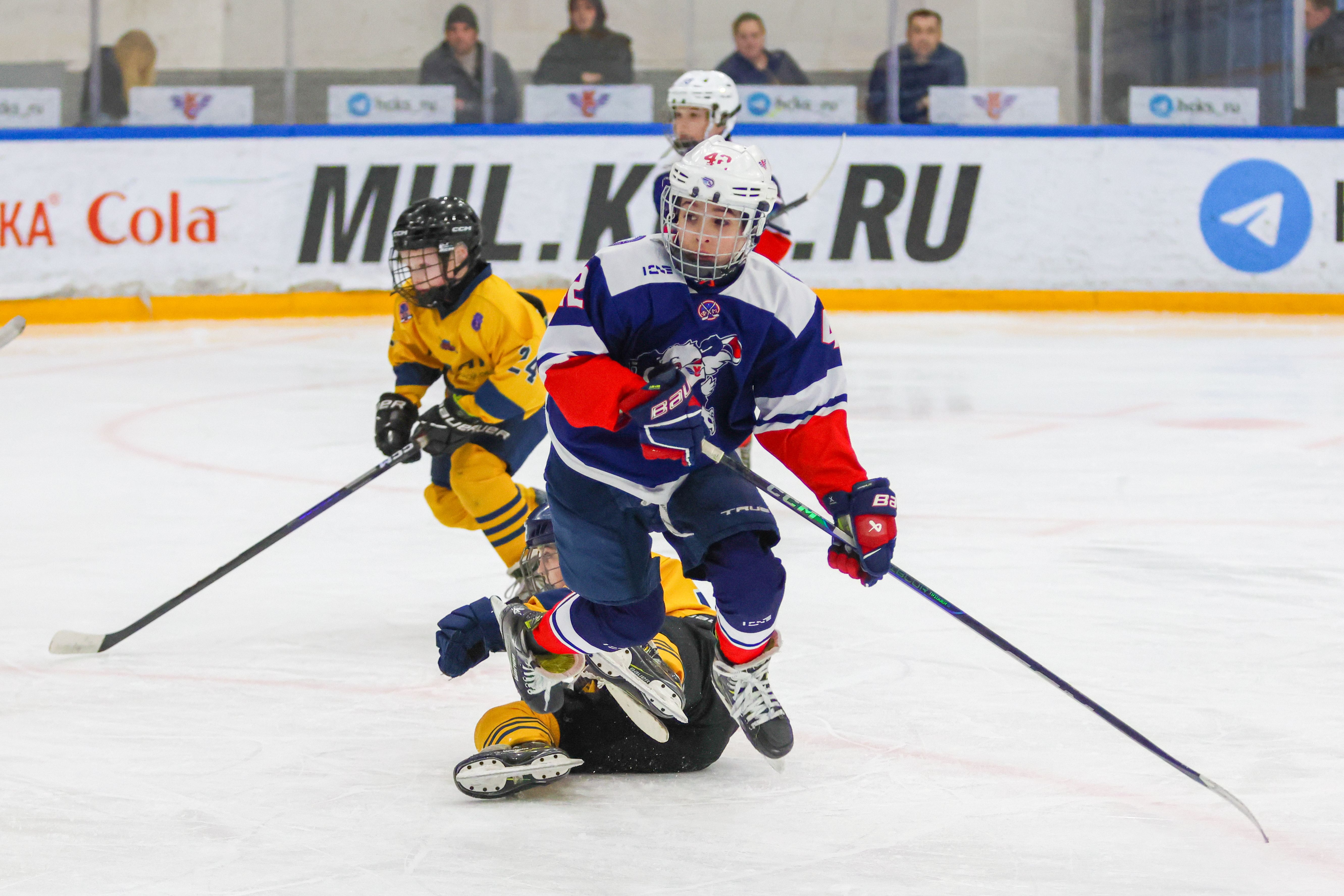 Фото: Крылья Советов-2014 – Атлант – 12:3