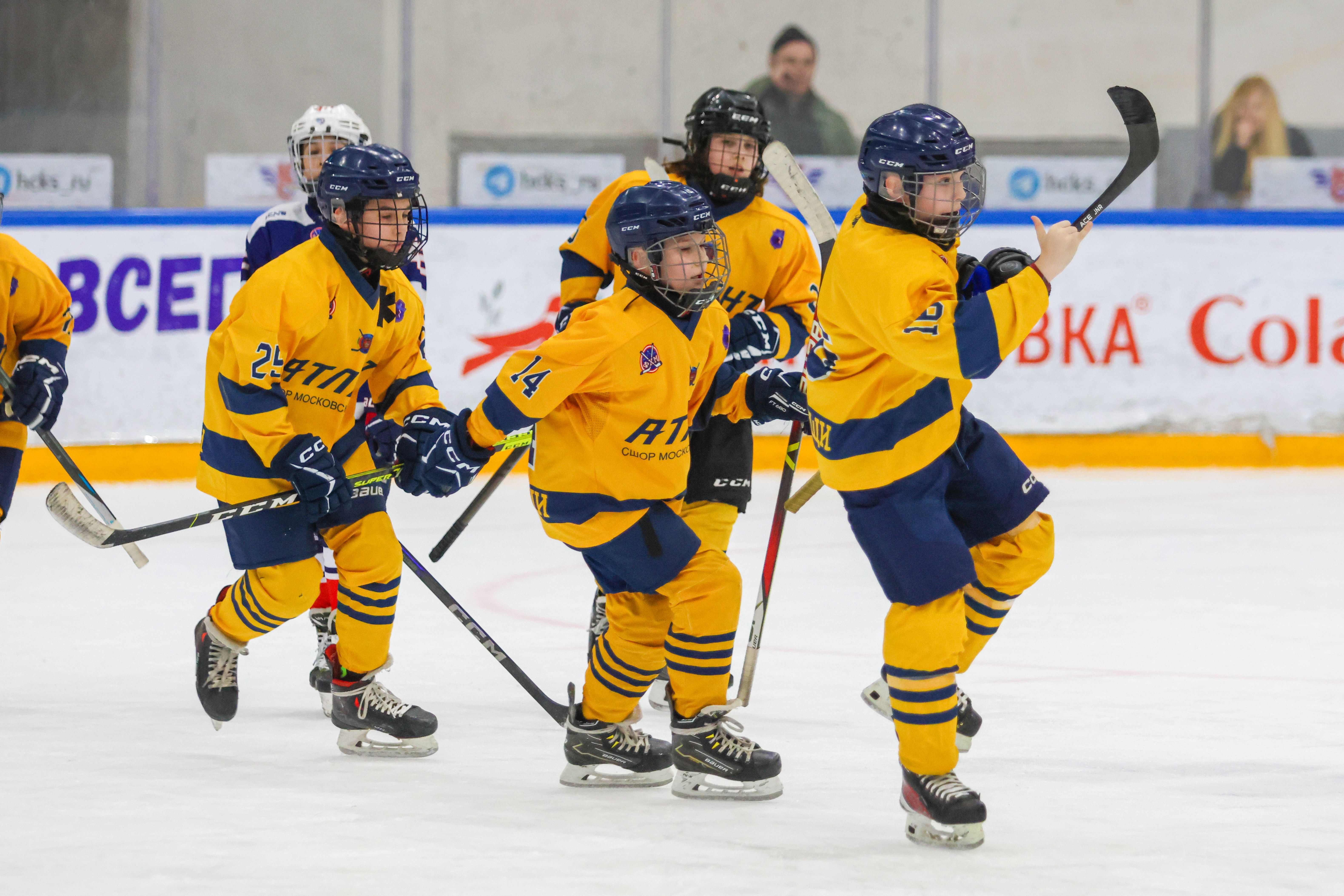 Фото: Крылья Советов-2014 – Атлант – 12:3