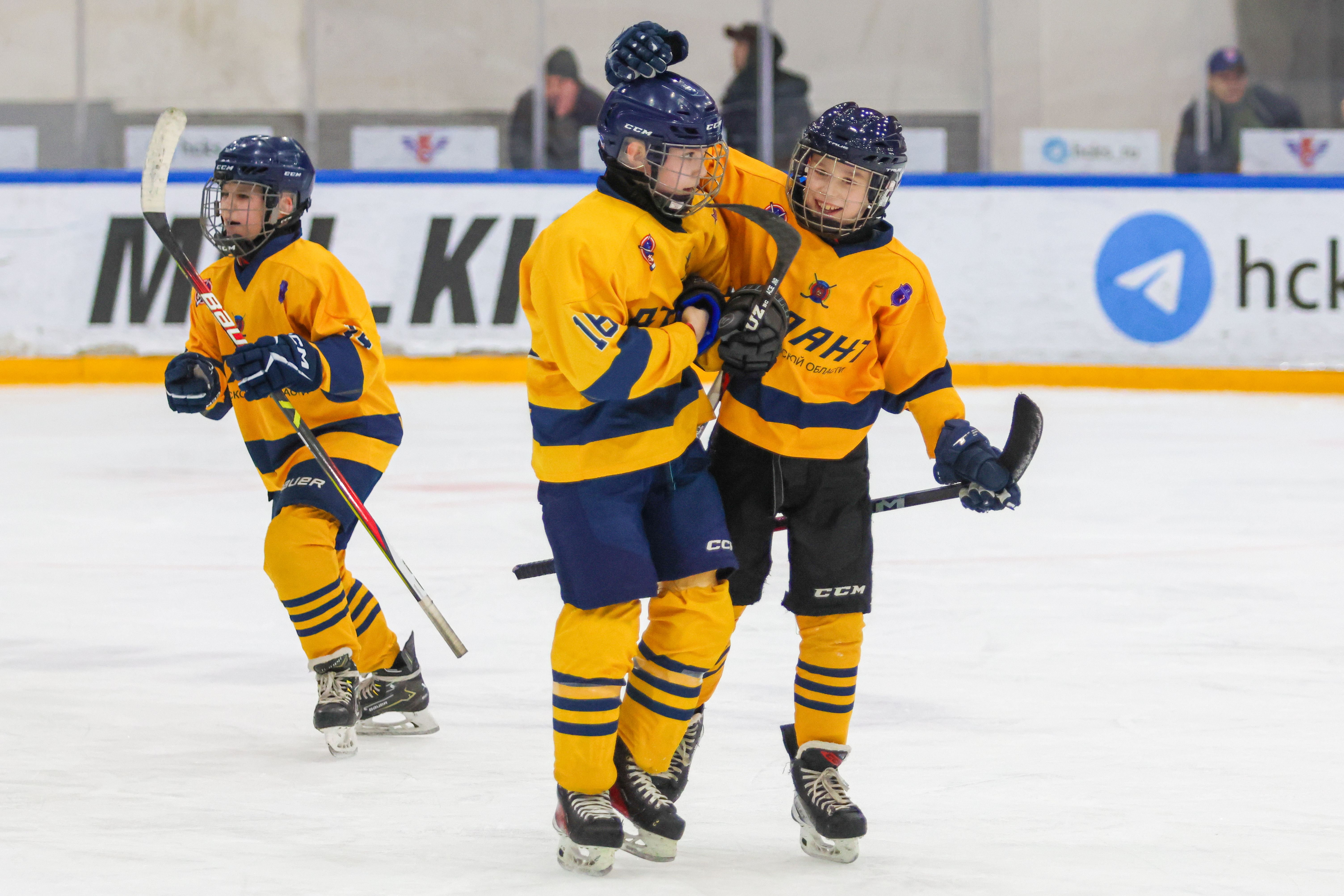 Фото: Крылья Советов-2014 – Атлант – 12:3