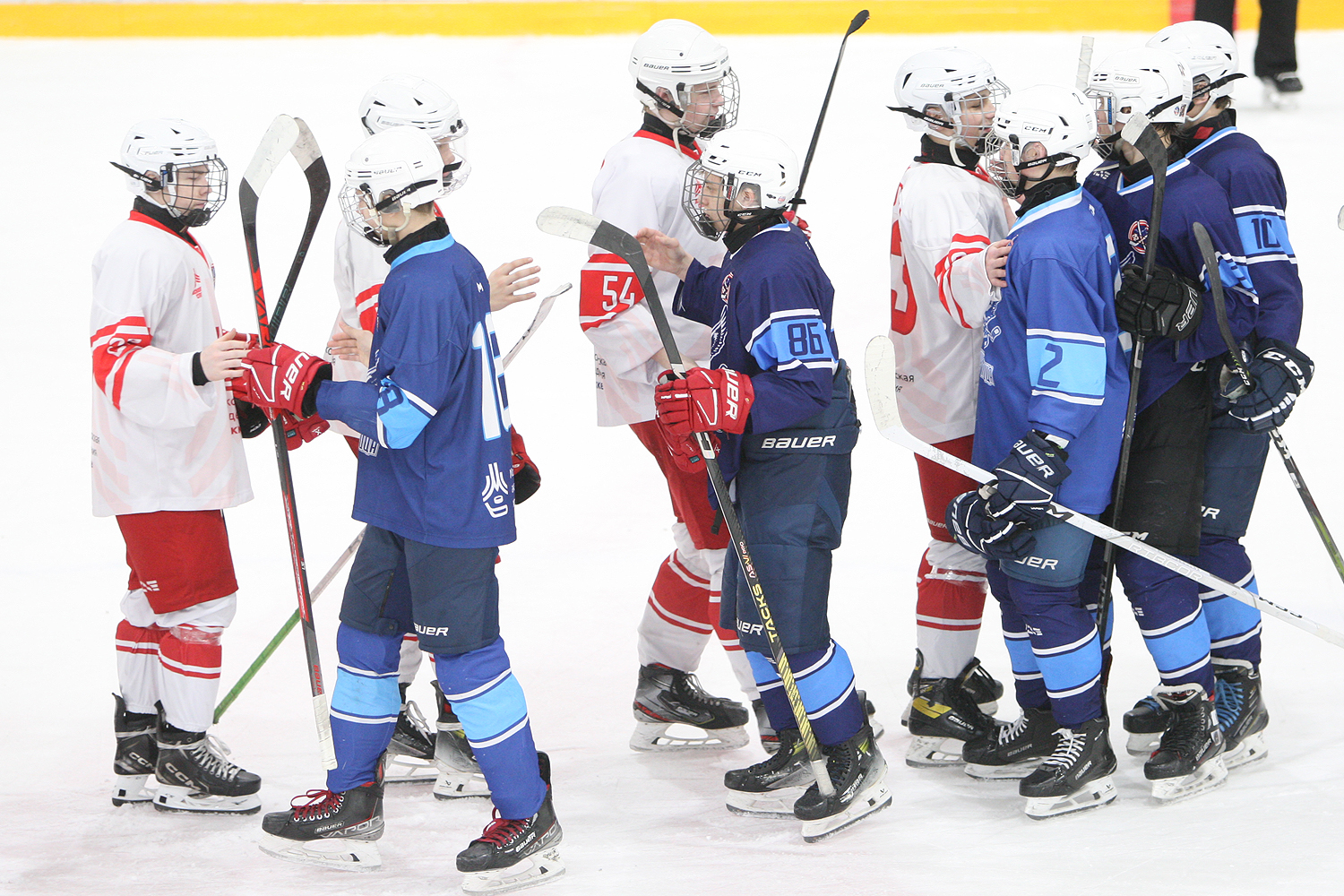 Фото: Синяя птица-2009 – МАХ – 4:5 ПБ