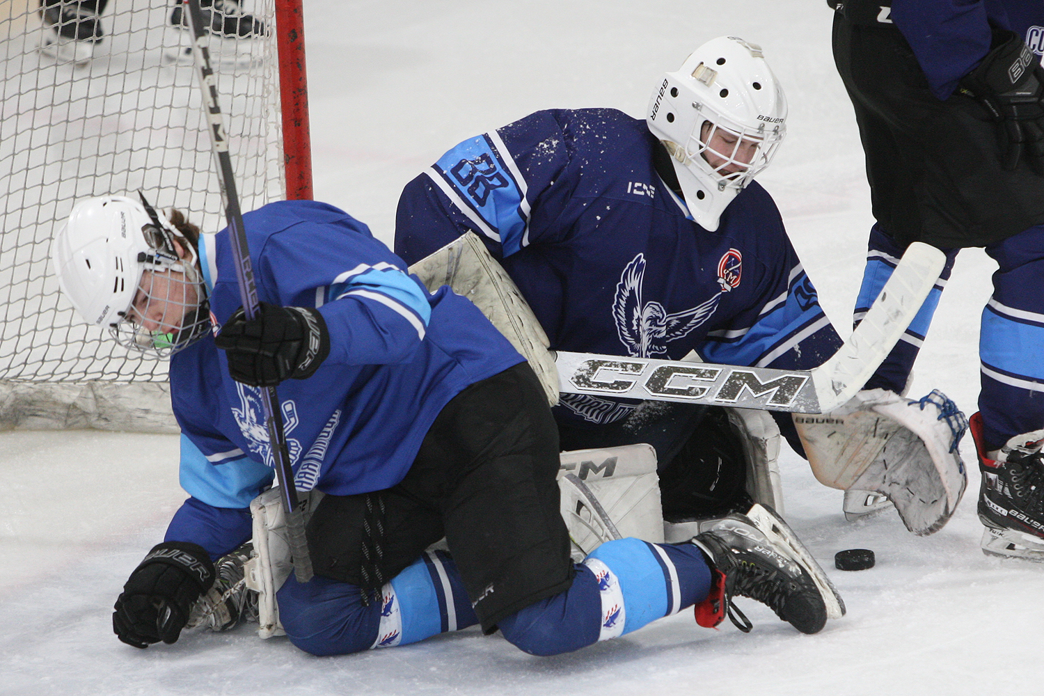 Фото: Синяя птица-2009 – МАХ – 4:5 ПБ