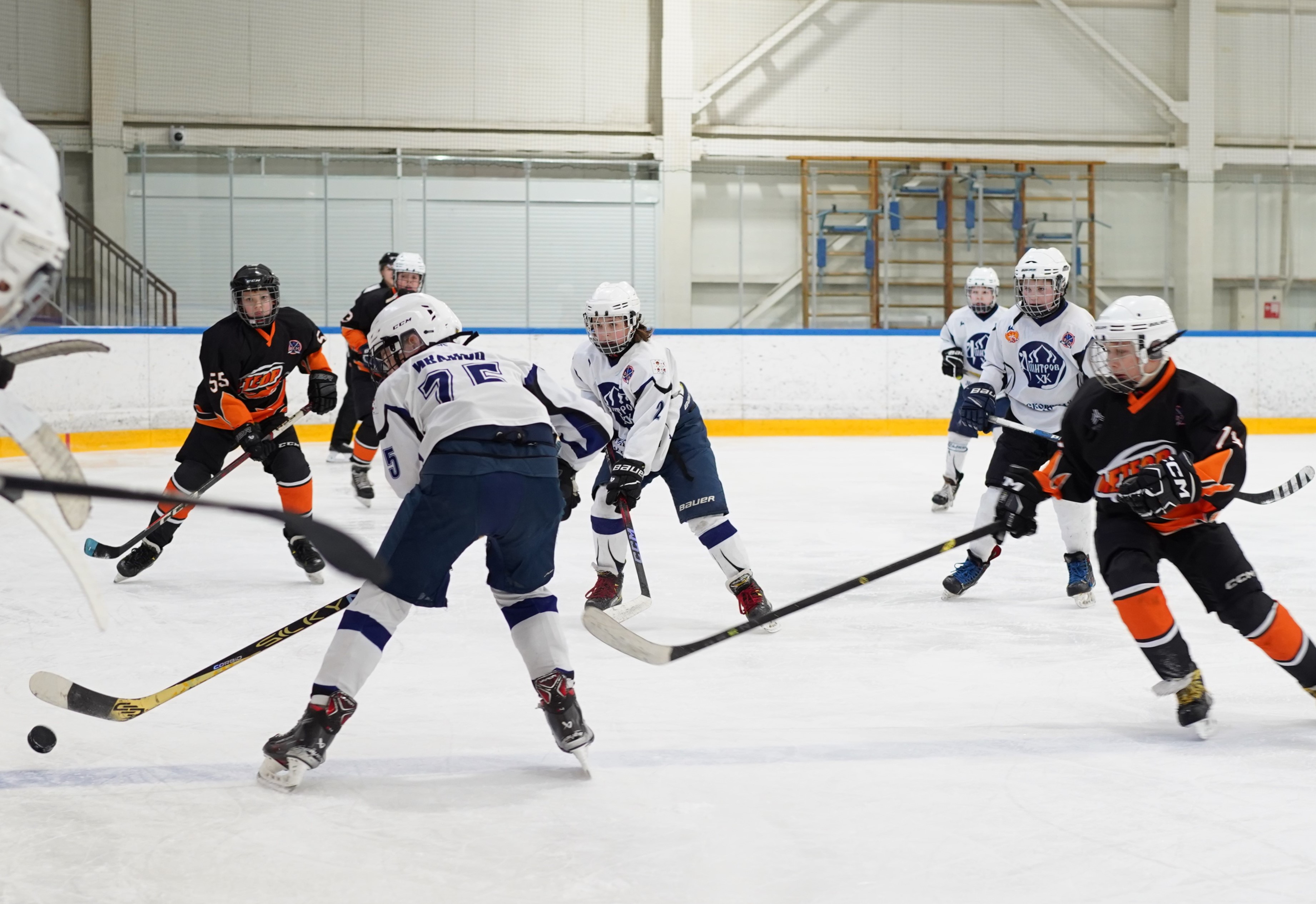 Фото: Метеор-2013 – Дмитров – 3:6