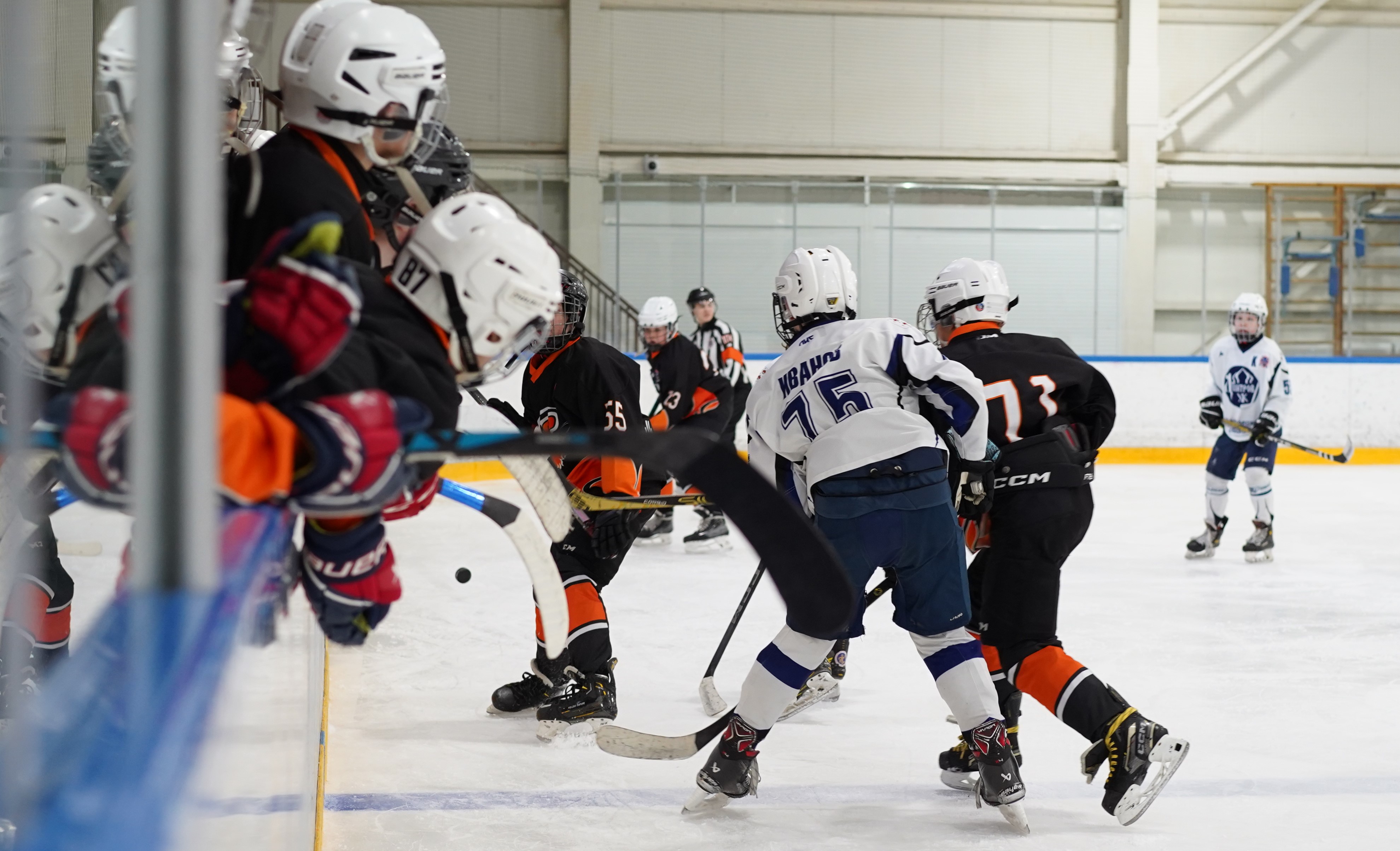 Фото: Метеор-2013 – Дмитров – 3:6