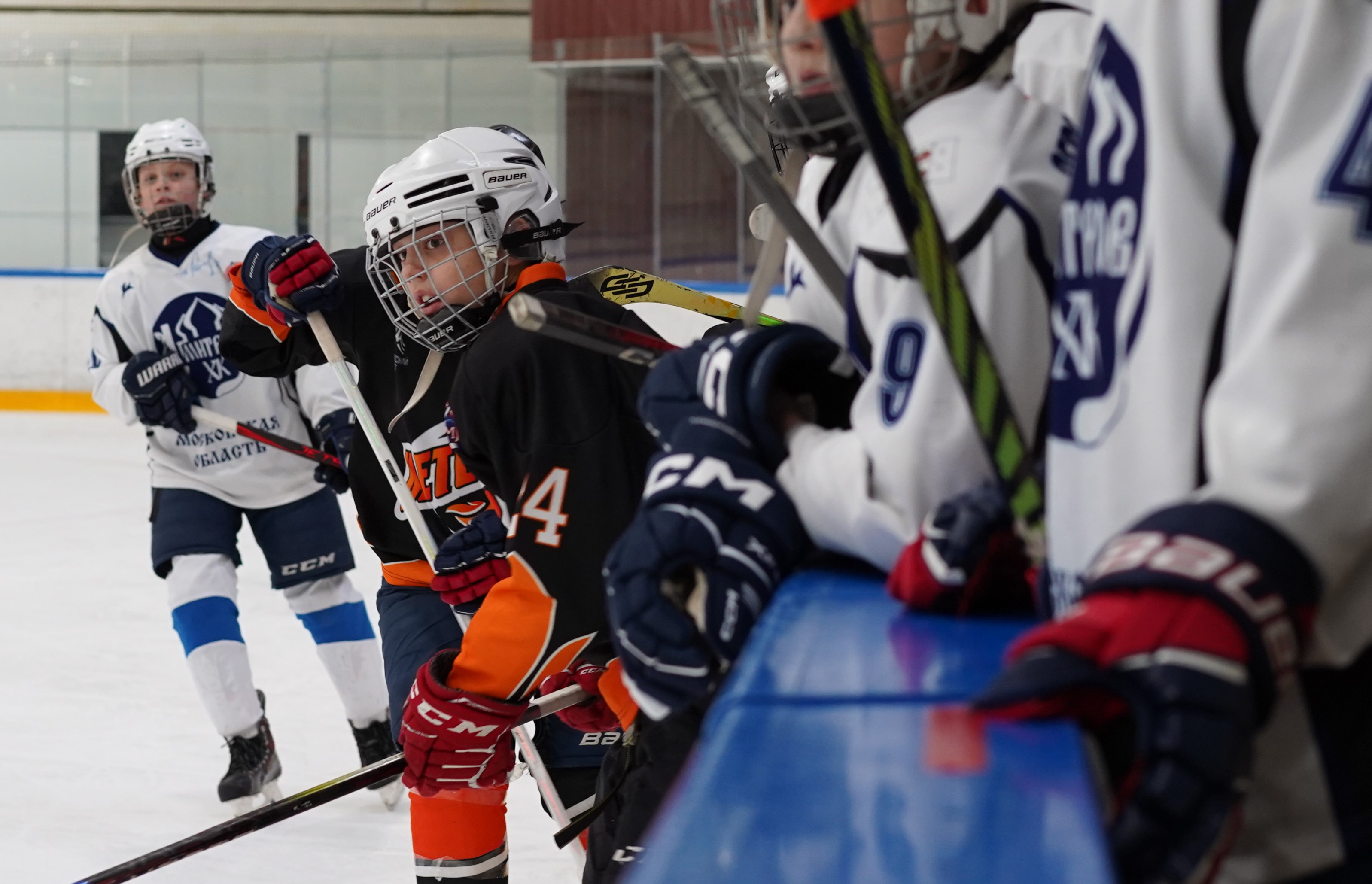 Фото: Метеор-2013 – Дмитров – 3:6