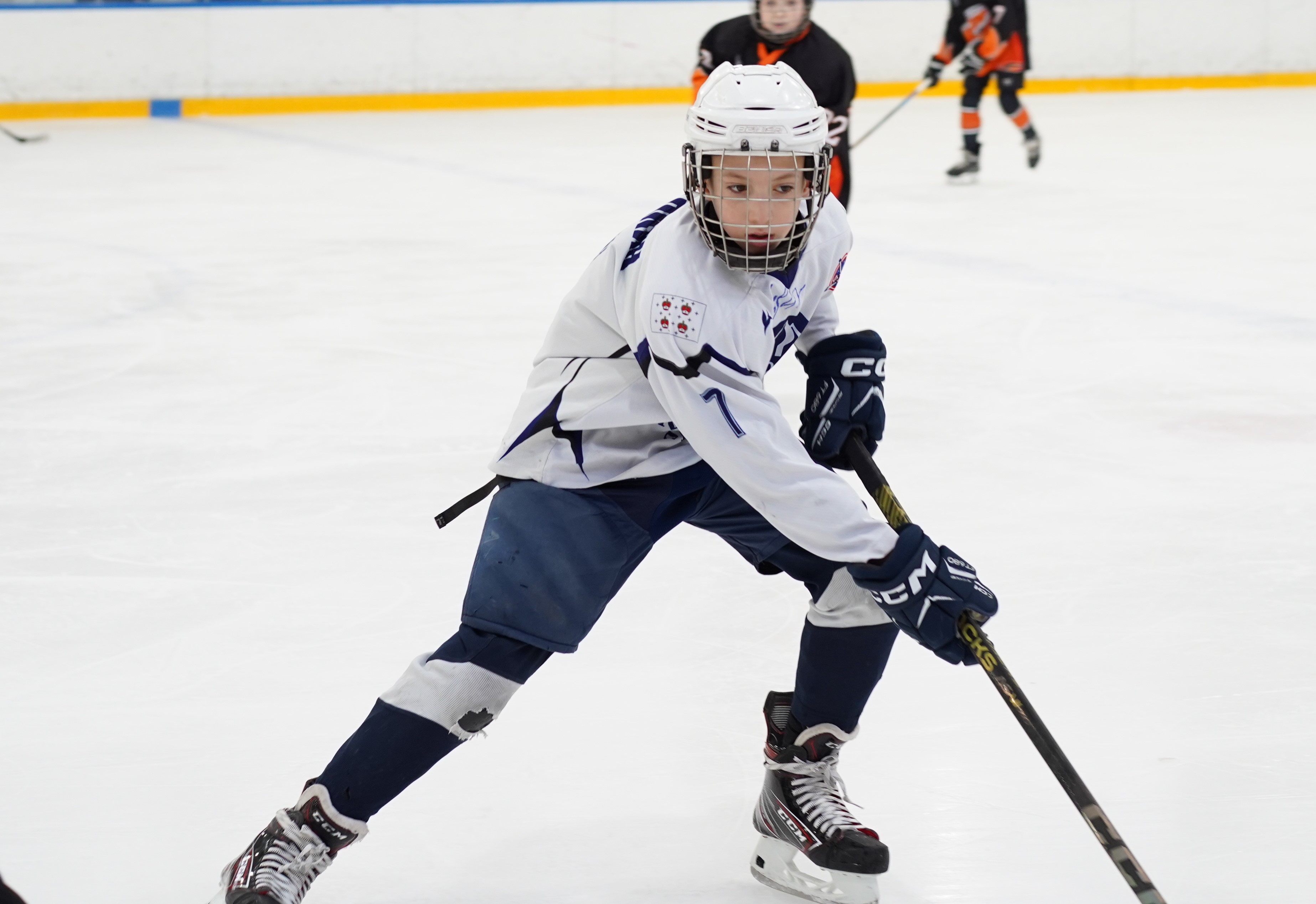 Фото: Метеор-2013 – Дмитров – 3:6