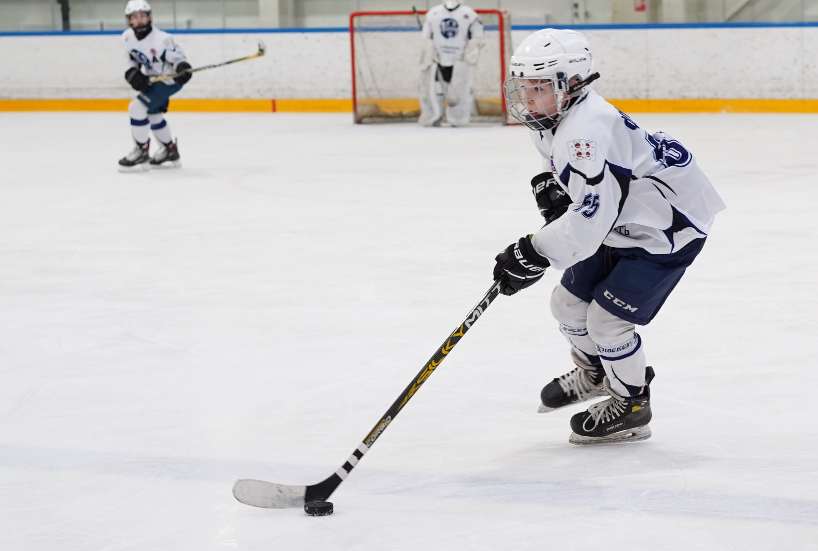 Фото: Метеор-2013 – Дмитров – 3:6