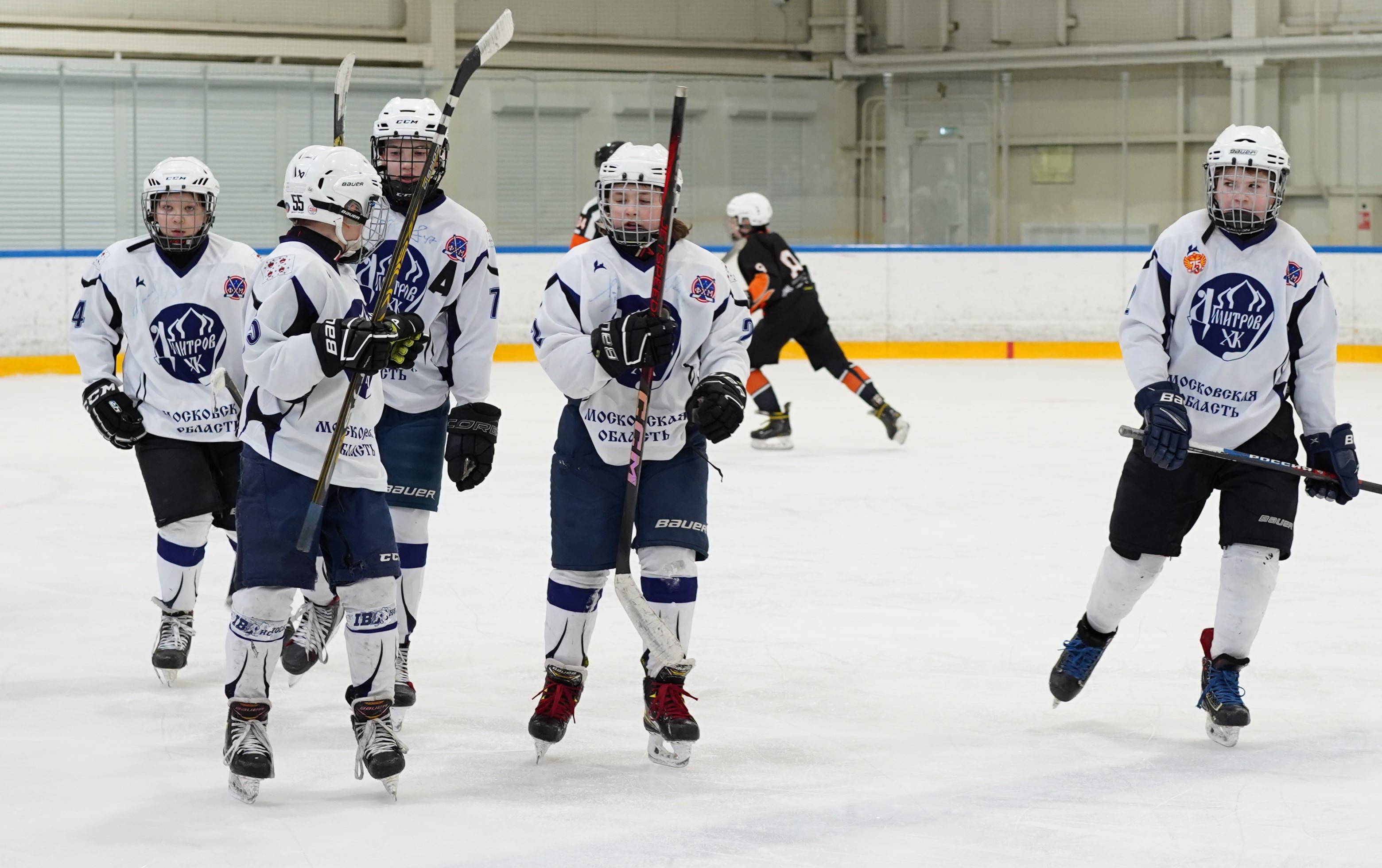 Фото: Метеор-2013 – Дмитров – 3:6