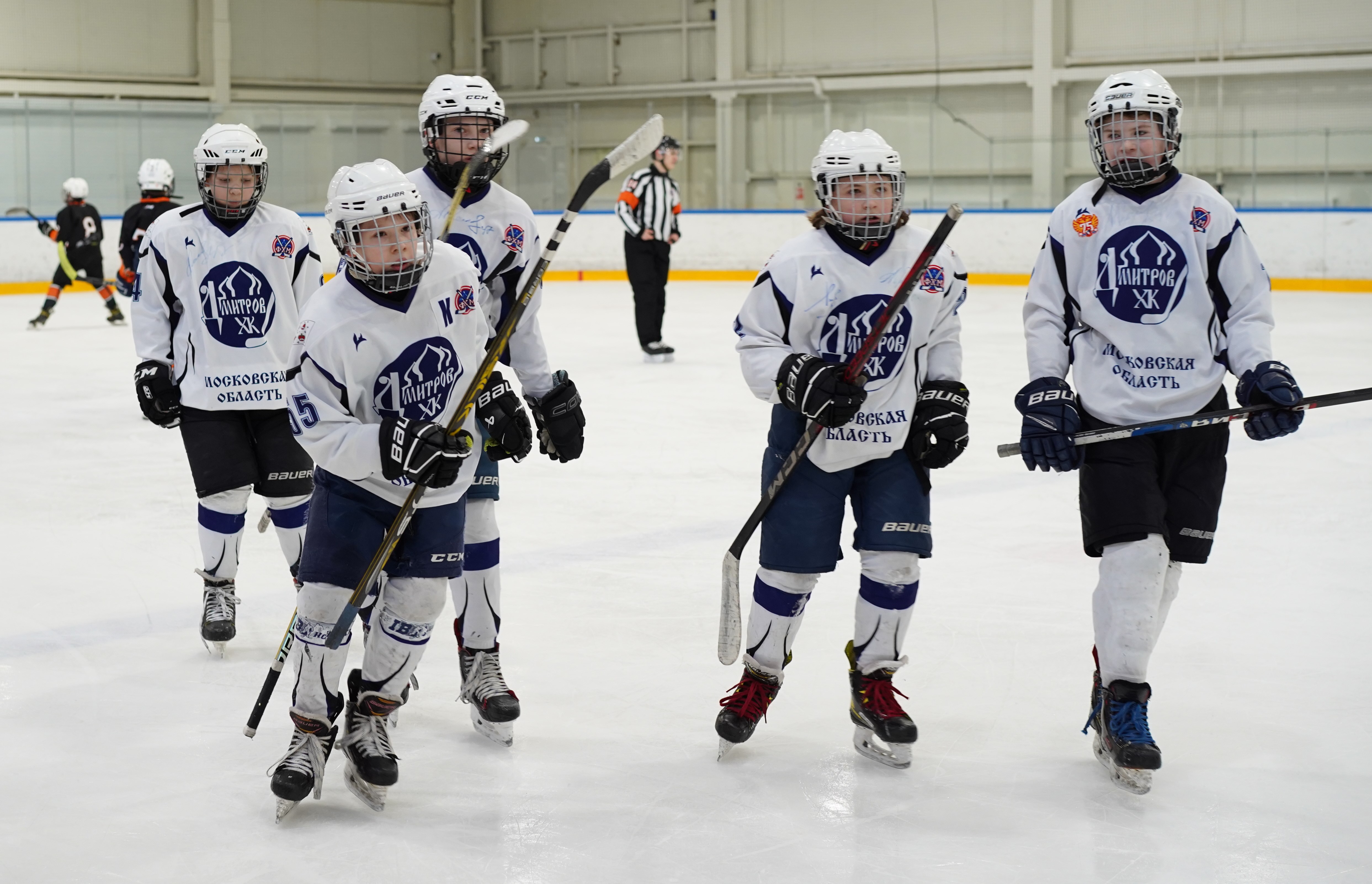 Фото: Метеор-2013 – Дмитров – 3:6