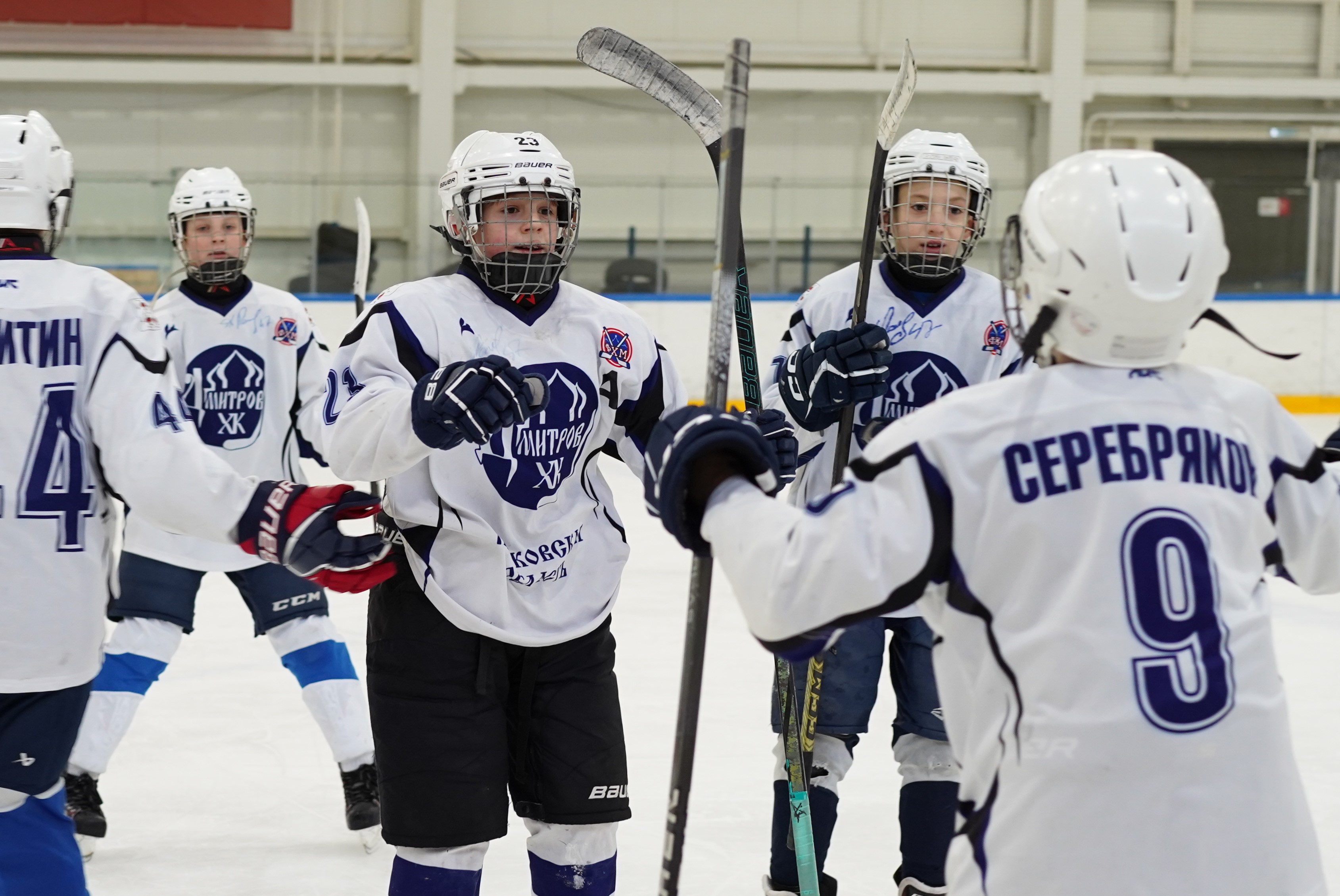 Фото: Метеор-2013 – Дмитров – 3:6