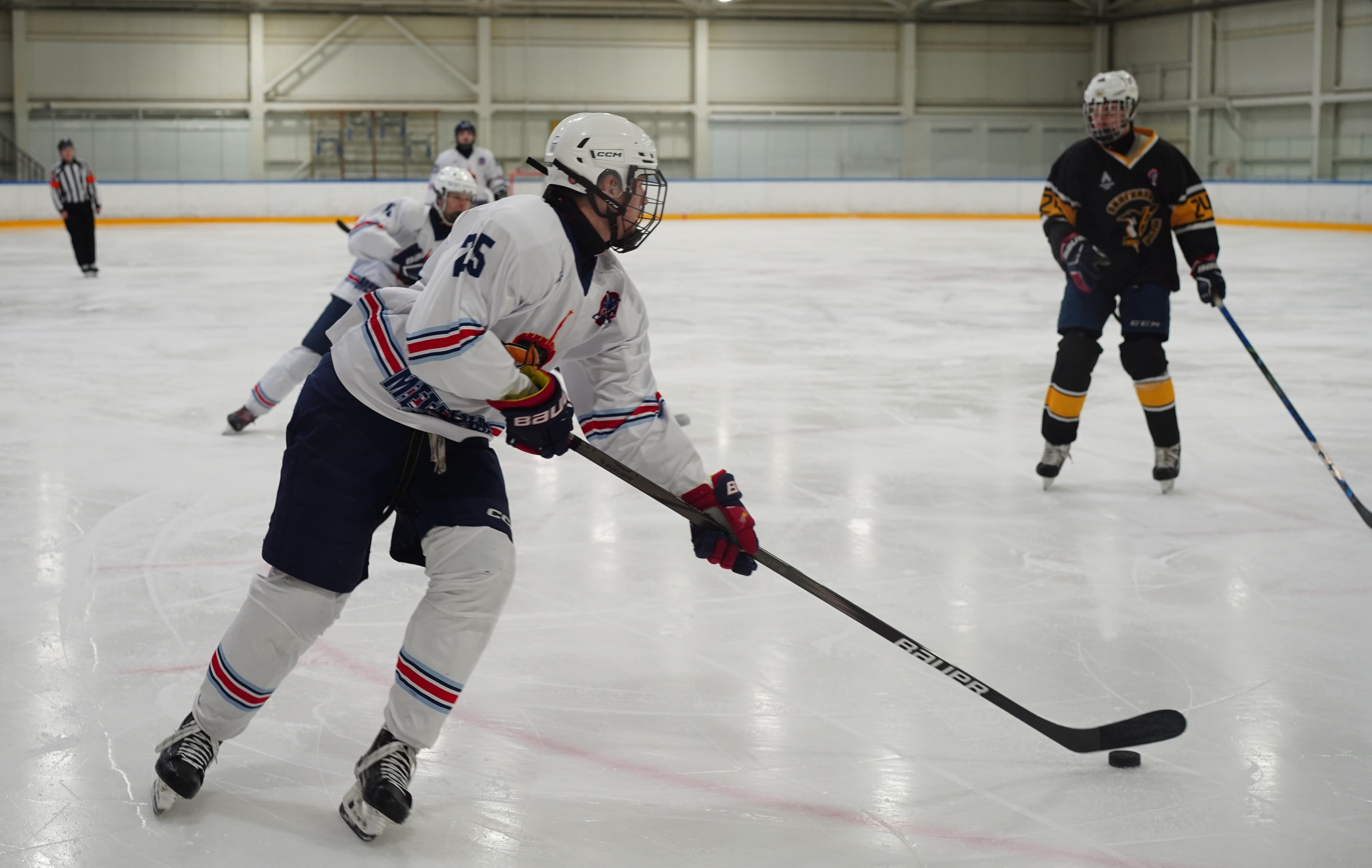 Фото: Пингвины-2008 – Металлург – 3:10