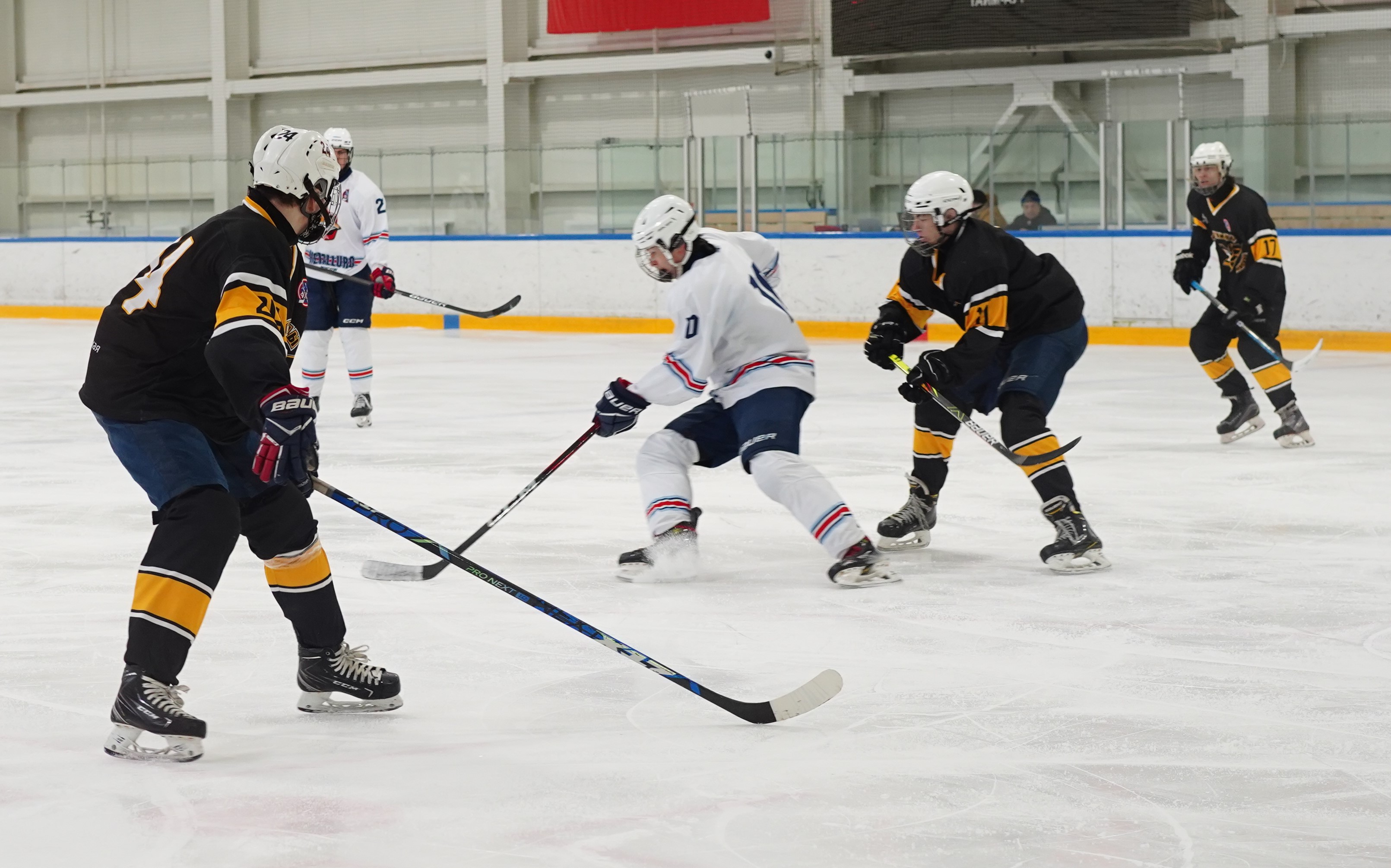 Фото: Пингвины-2008 – Металлург – 3:10