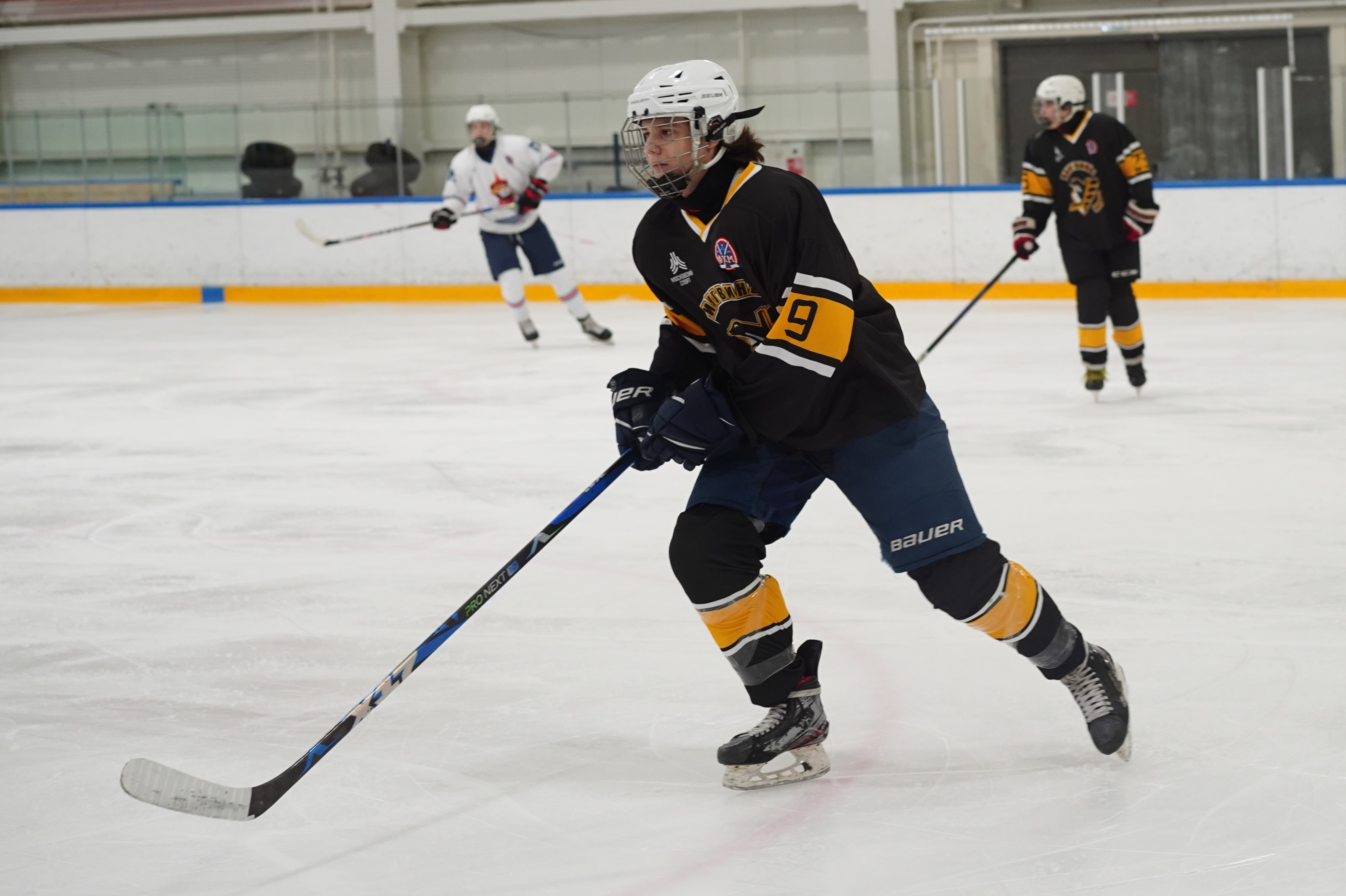 Фото: Пингвины-2008 – Металлург – 3:10