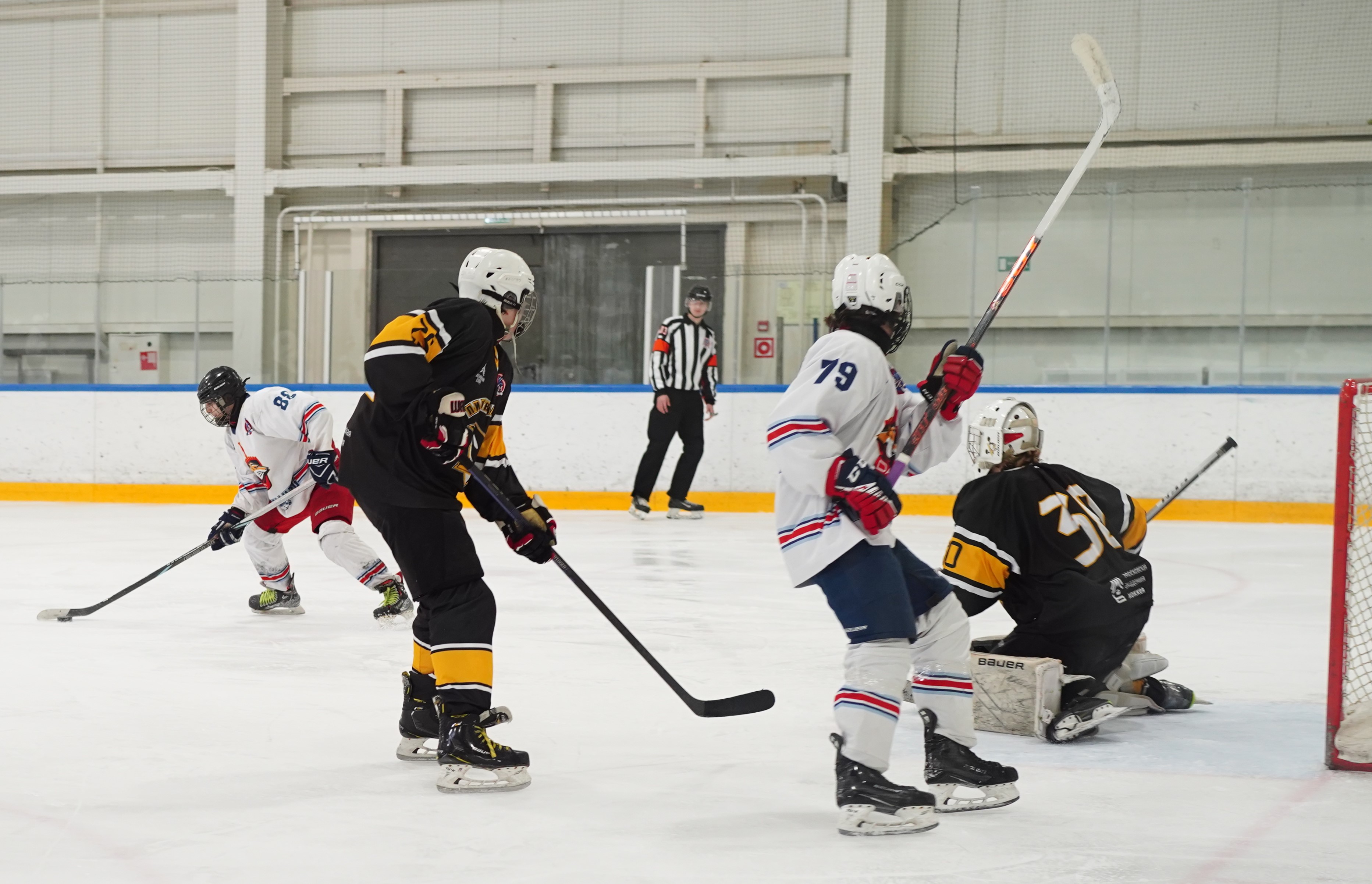 Фото: Пингвины-2008 – Металлург – 3:10