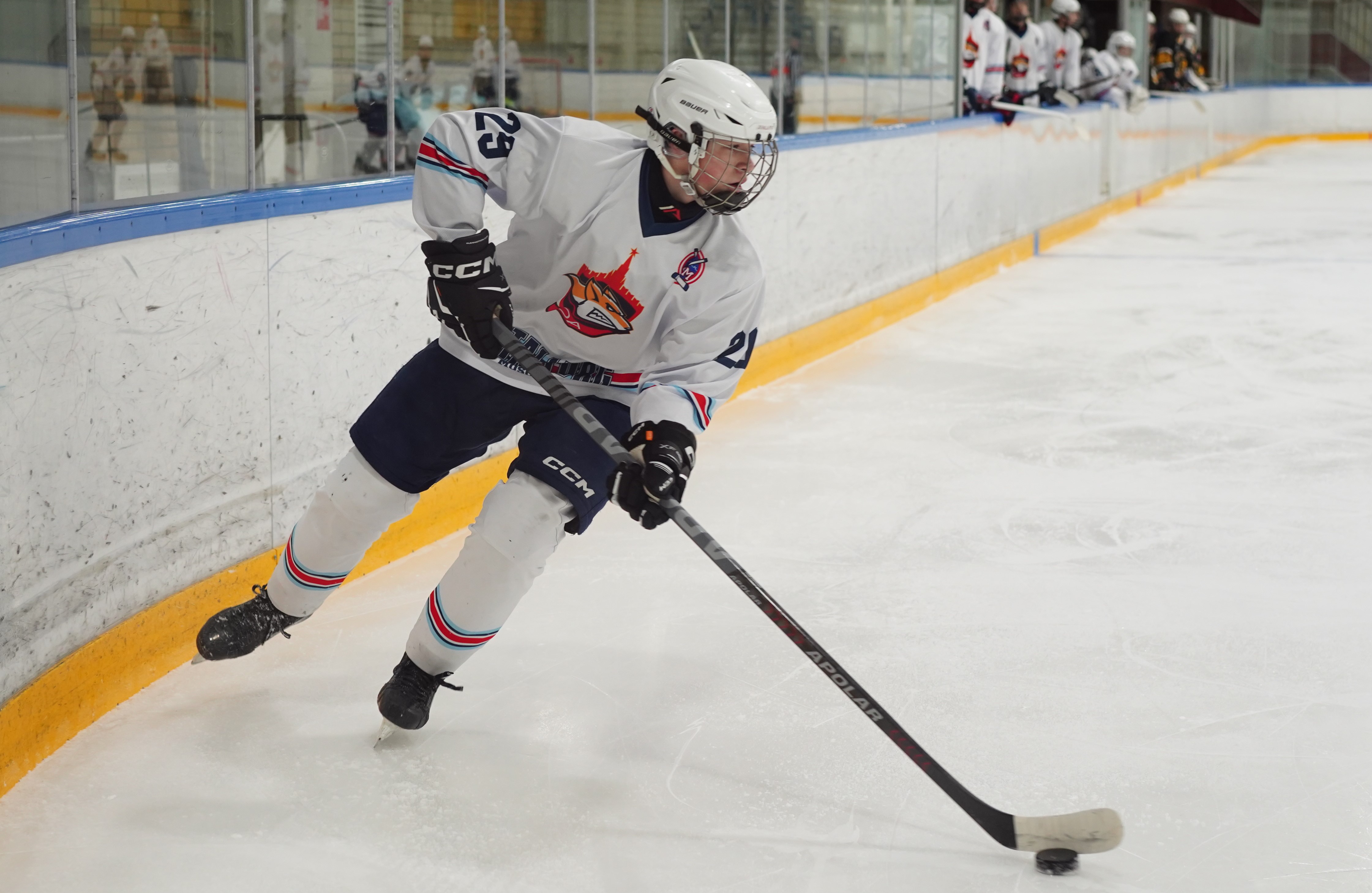 Фото: Пингвины-2008 – Металлург – 3:10