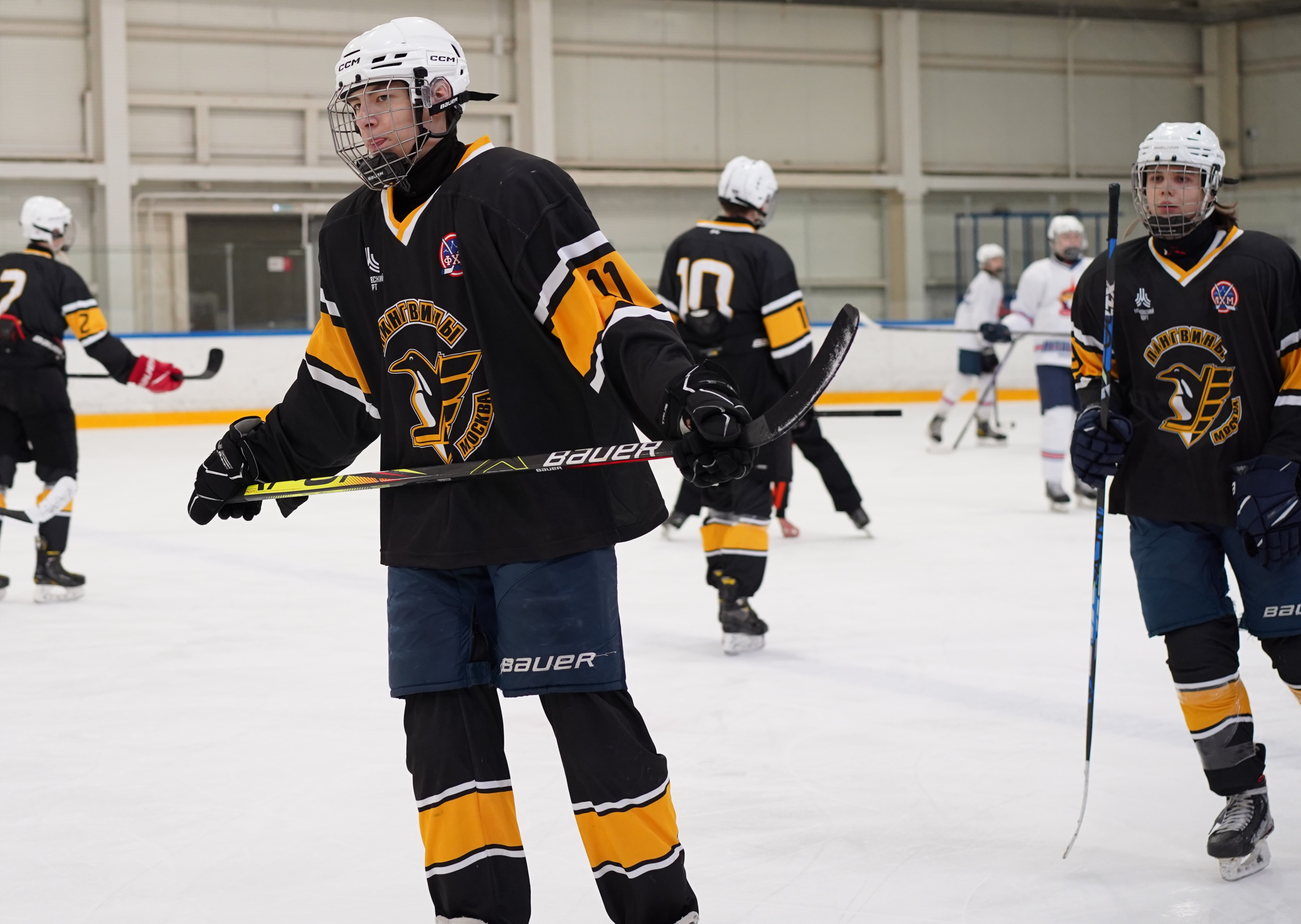 Фото: Пингвины-2008 – Металлург – 3:10