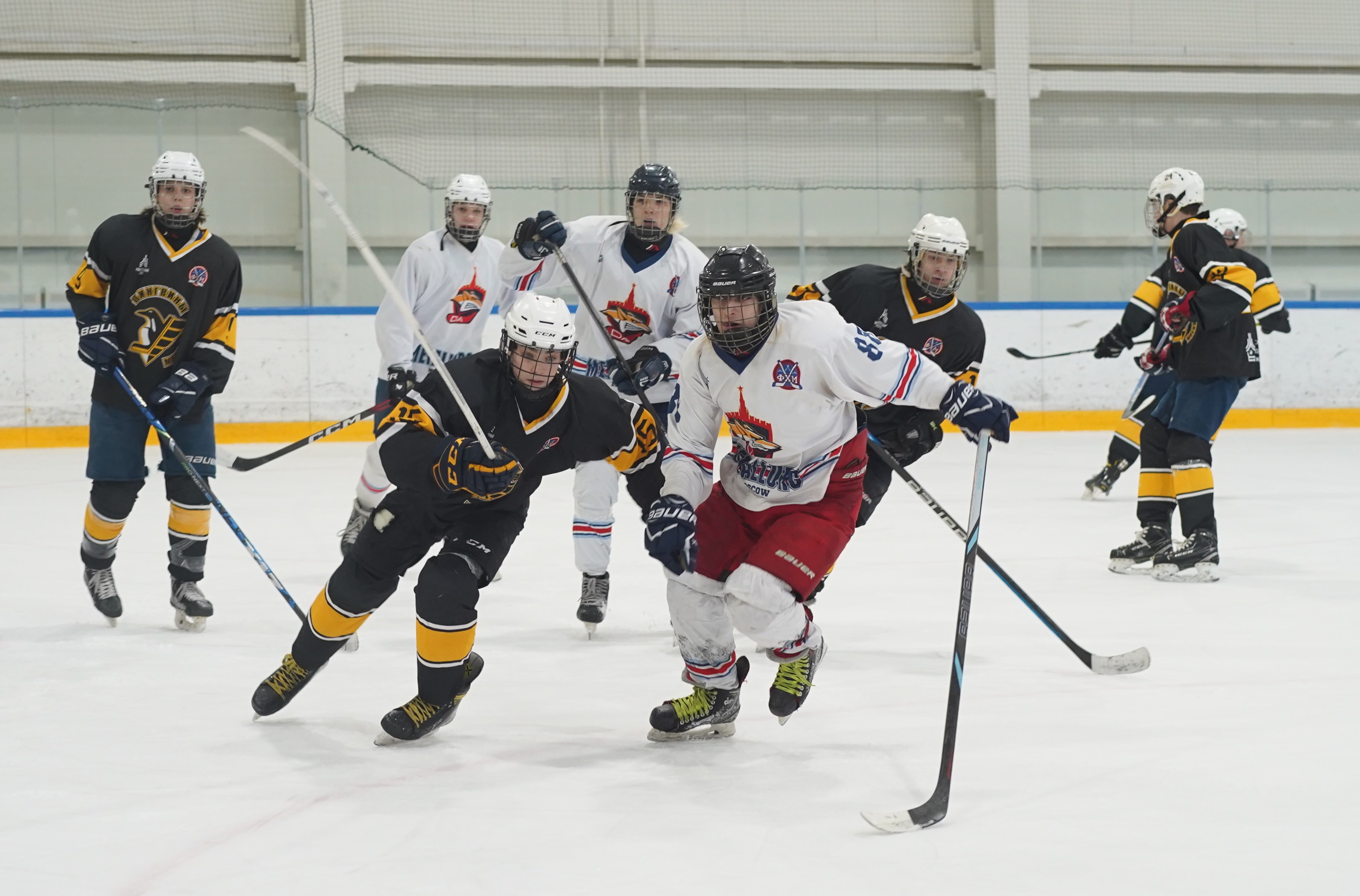 Фото: Пингвины-2008 – Металлург – 3:10