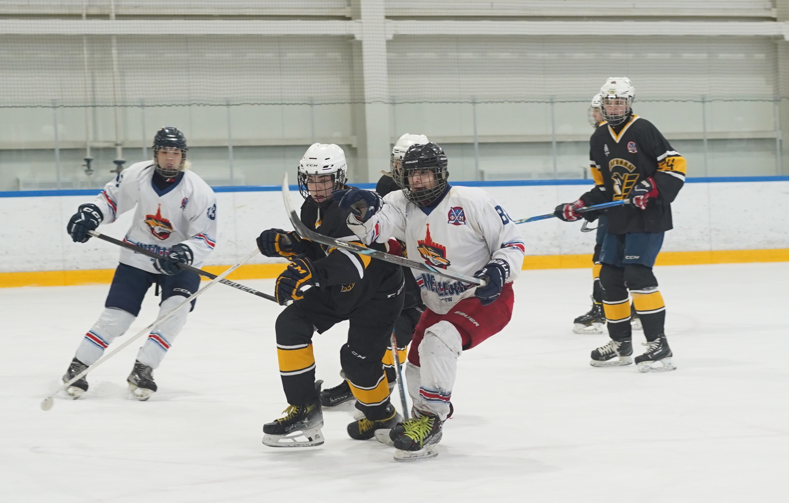 Фото: Пингвины-2008 – Металлург – 3:10