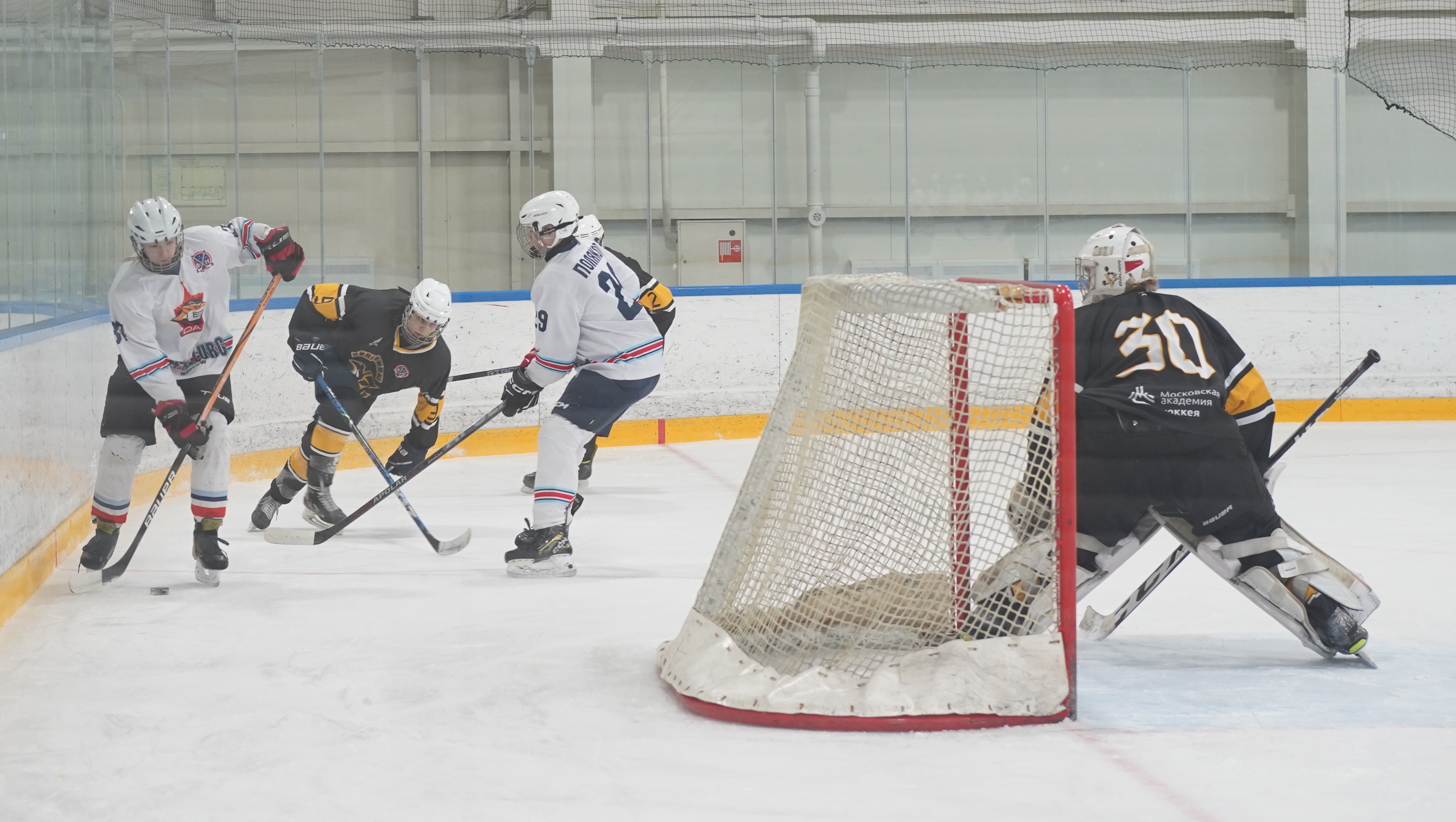 Фото: Пингвины-2008 – Металлург – 3:10