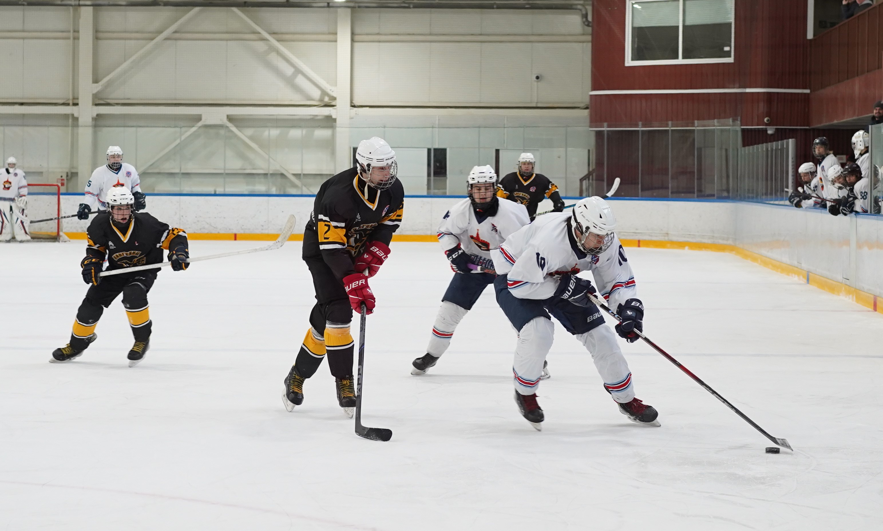 Фото: Пингвины-2008 – Металлург – 3:10