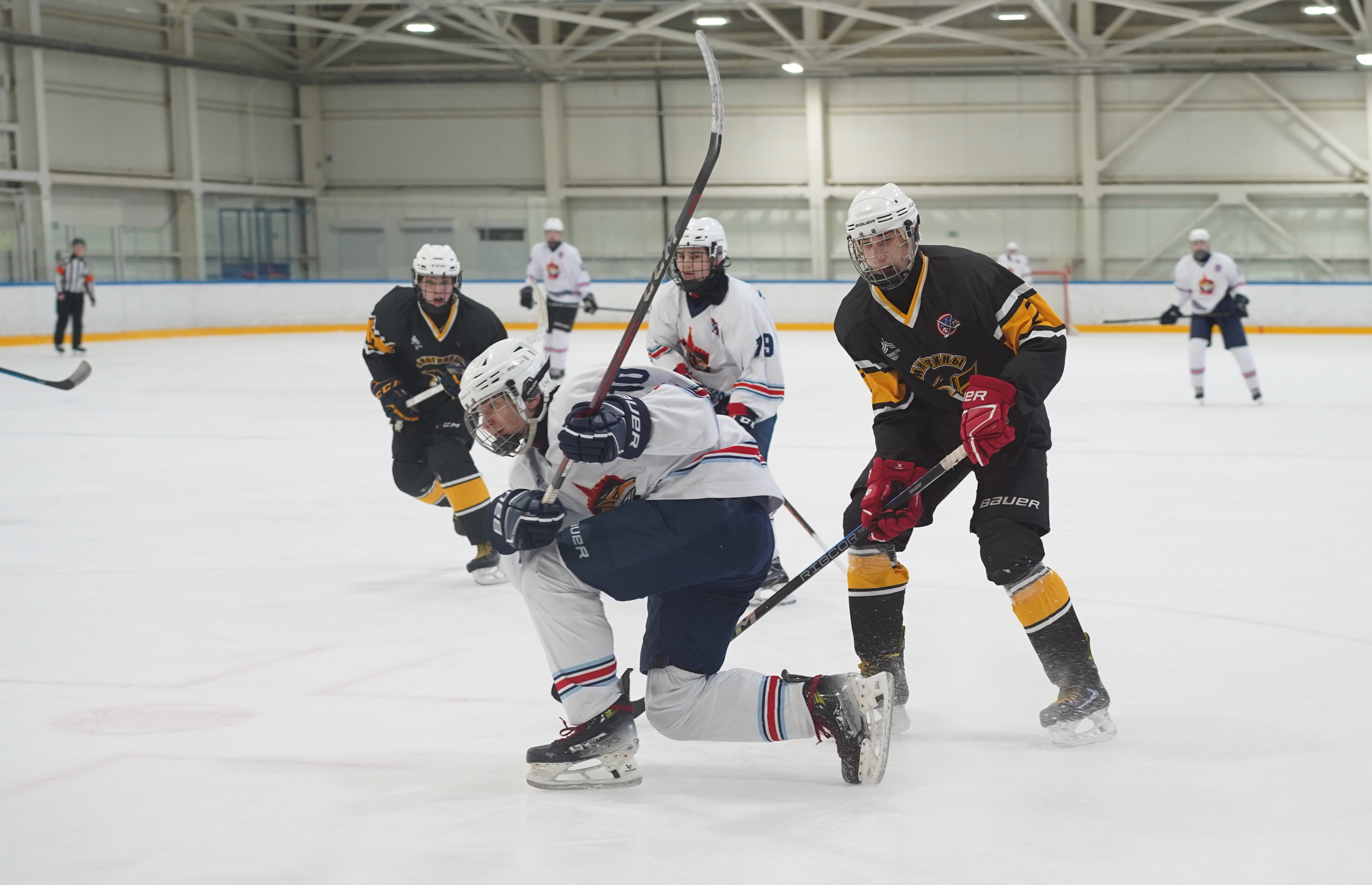 Фото: Пингвины-2008 – Металлург – 3:10