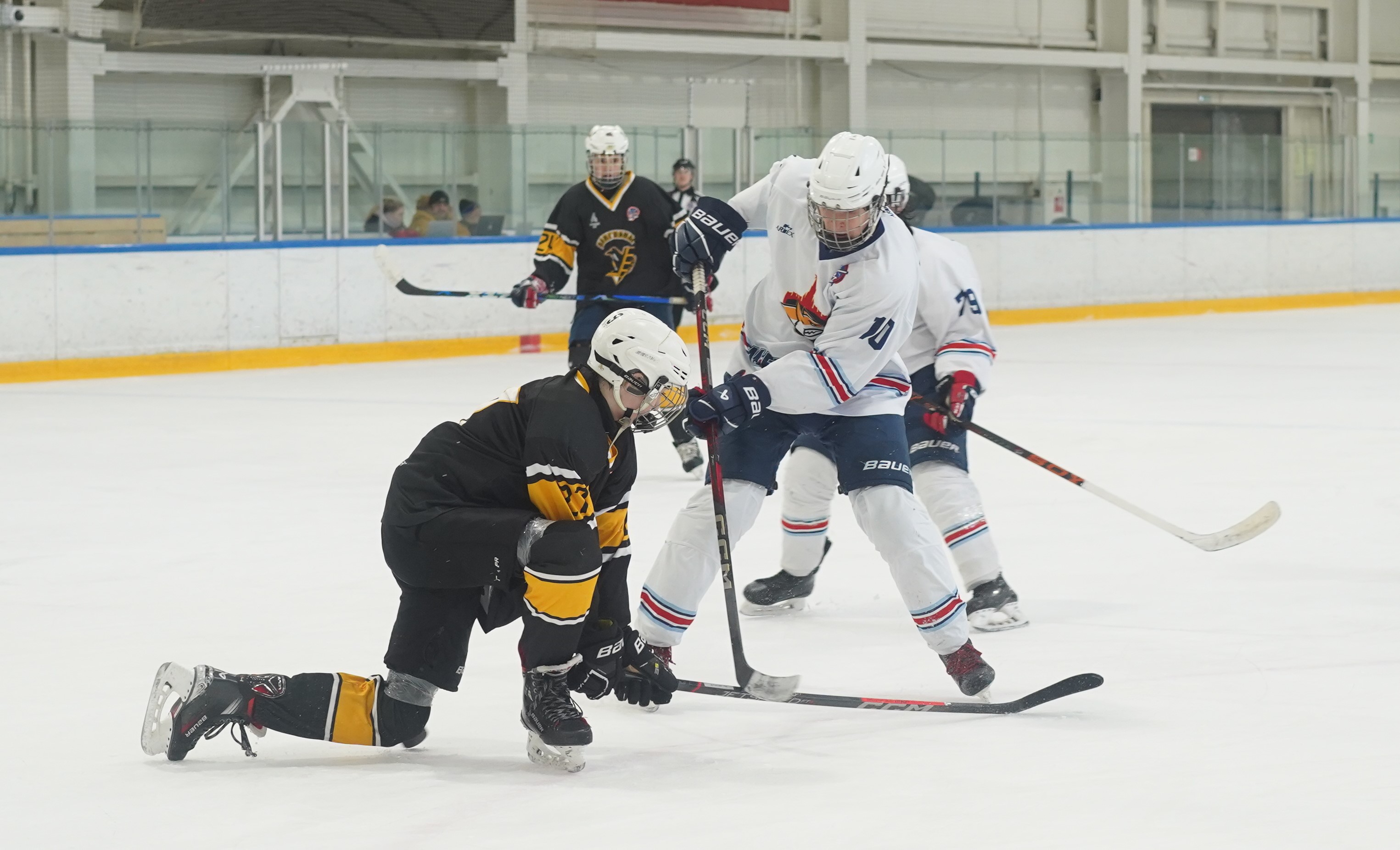 Фото: Пингвины-2008 – Металлург – 3:10