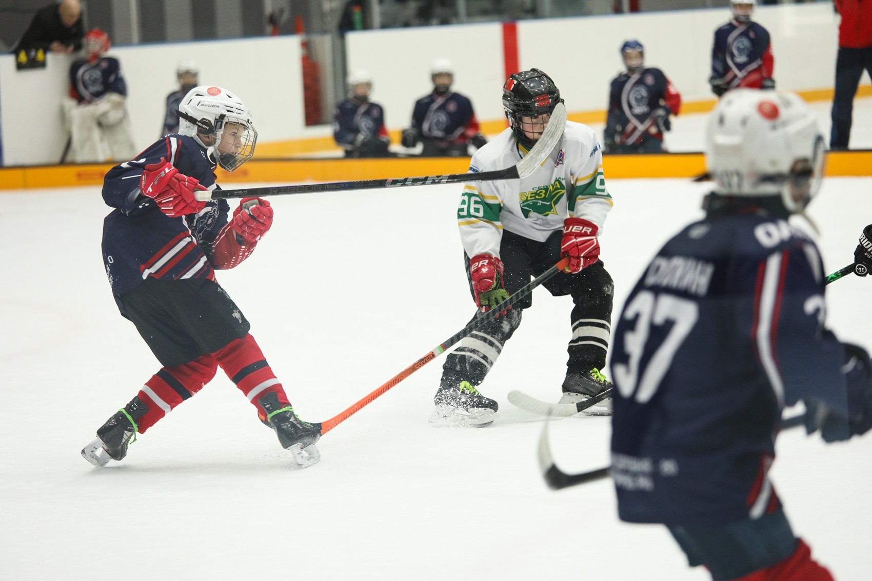 Фото: Олимпийская деревня-80 – Северная звезда-2015 – 25:10