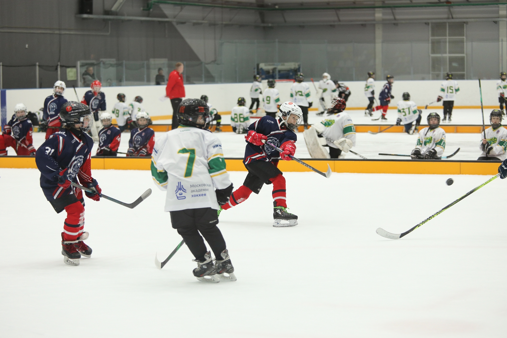 Фото: Олимпийская деревня-80 – Северная звезда-2015 – 25:10
