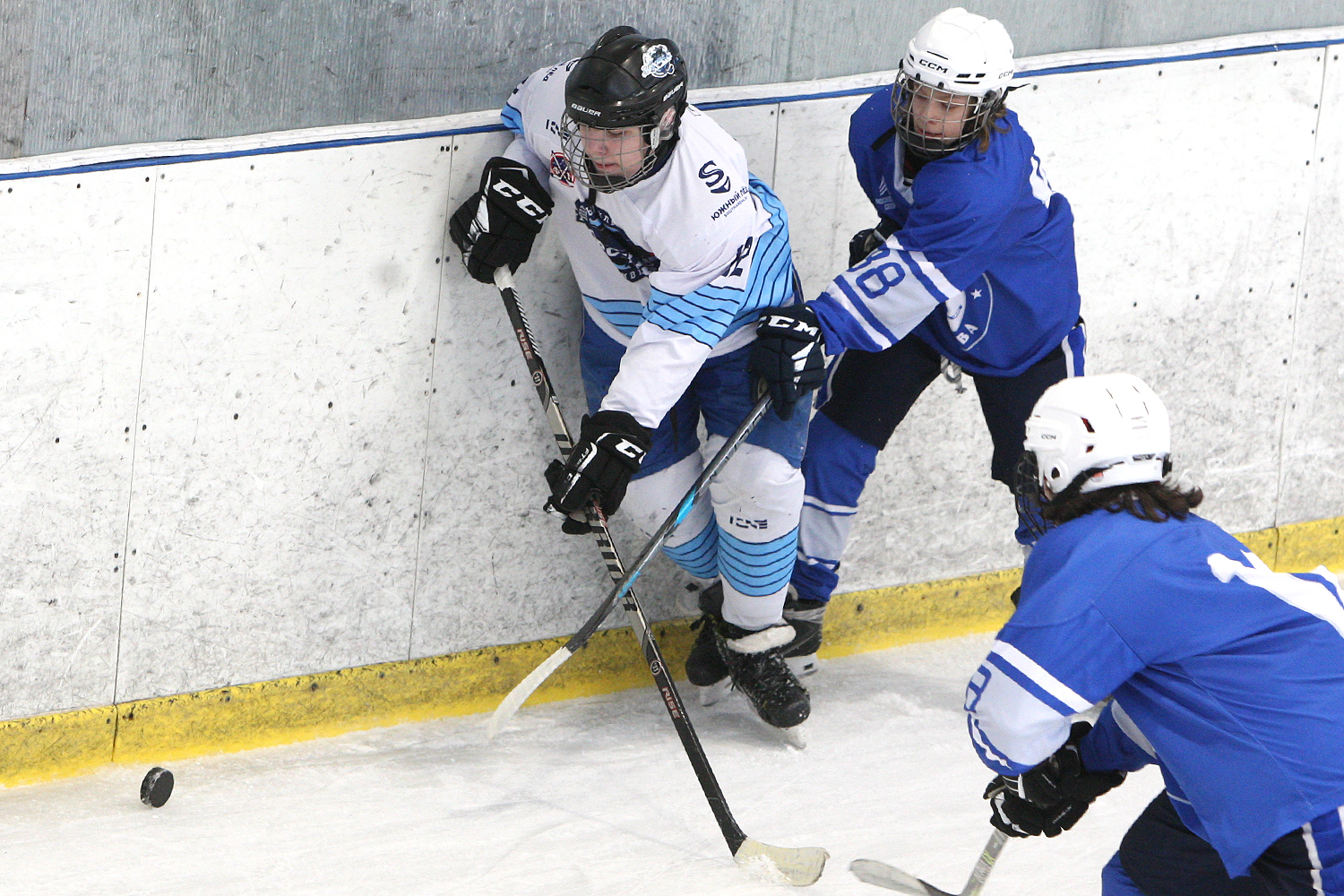 Фото: Вымпел-2010 – Морские львы – 3:4 ПБ