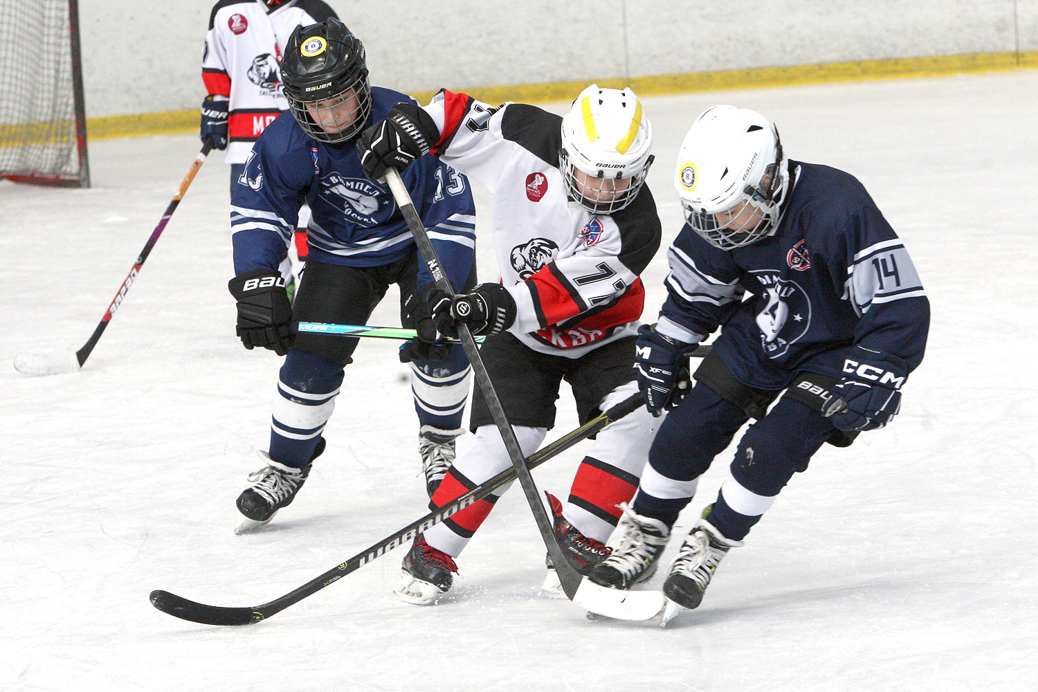 Фото: Вымпел-2015 – Центр – 20:9 