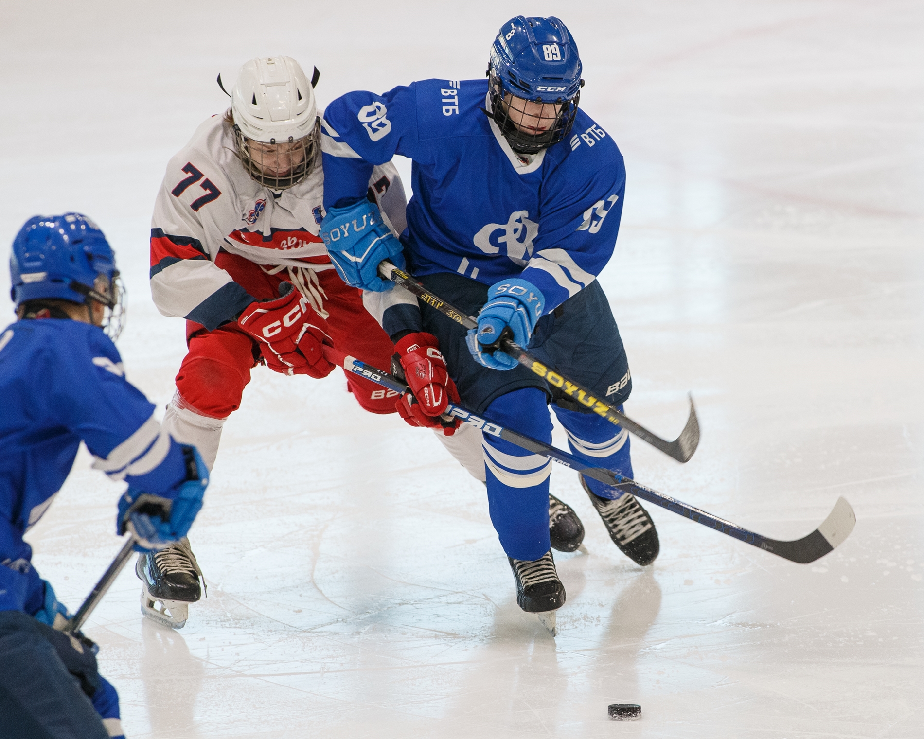 Фото: Динамо-2009 — Витязь — 2:1 ОТ